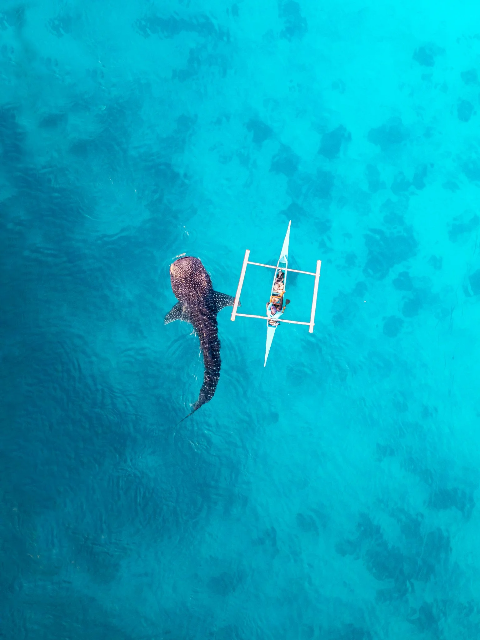 DJI_20240920053254_0501_D-Edit-2.jpg