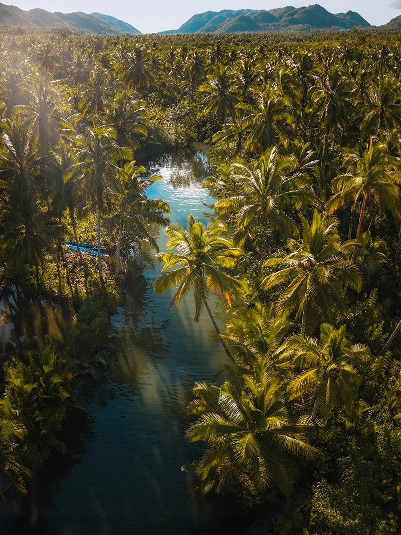 OASIS