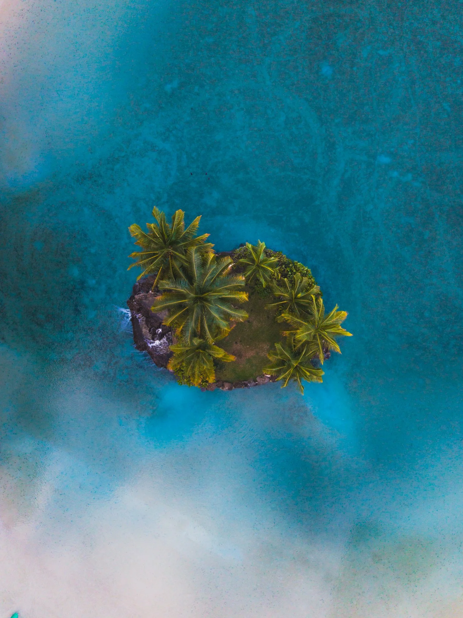 DJI_20260116094843_0168_D-Edit-2.jpg