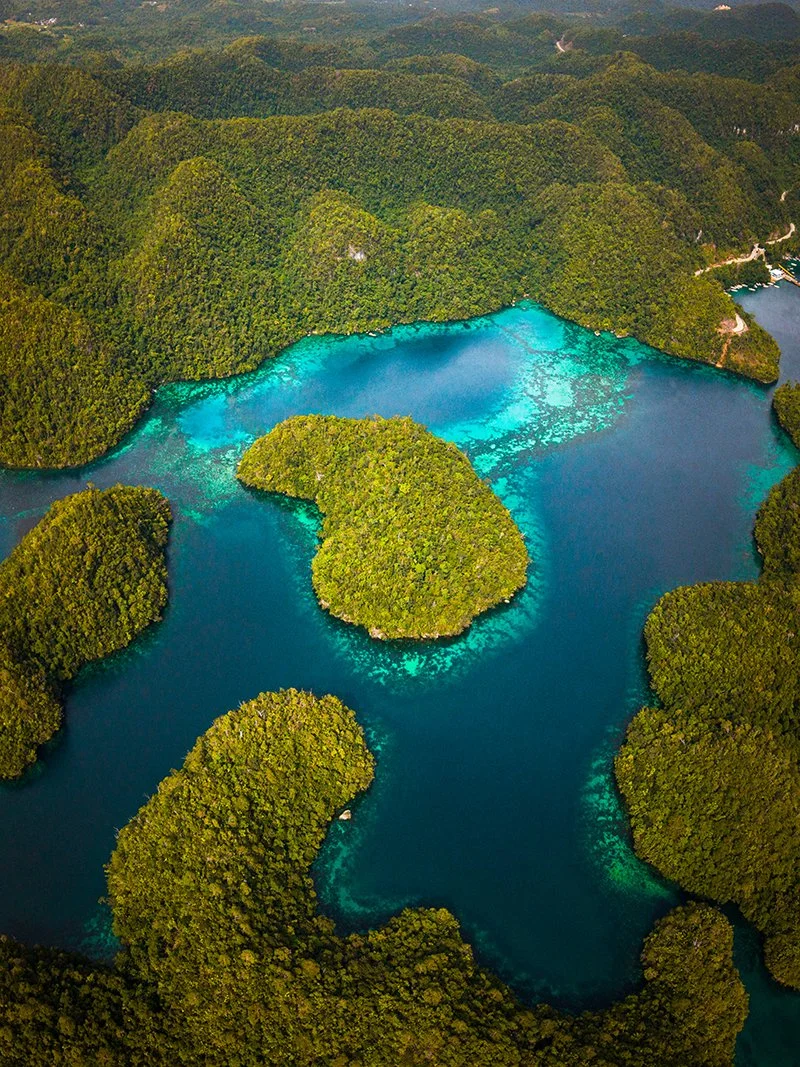 THE LOST ISLES