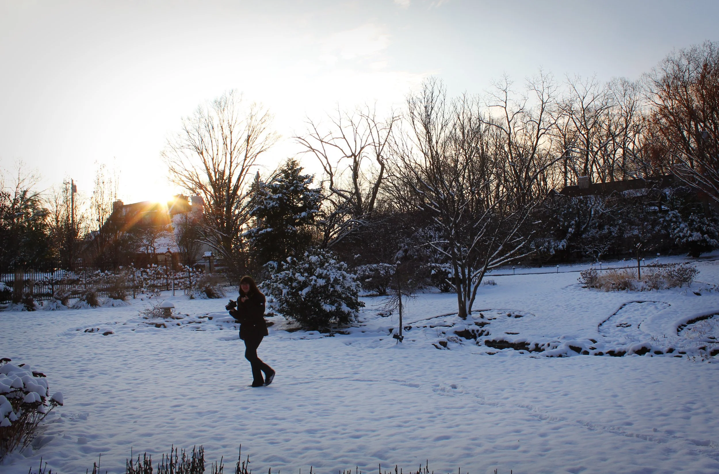 Sunset at the Snowy Garden, Photographed by Audrey Creighton (2025)