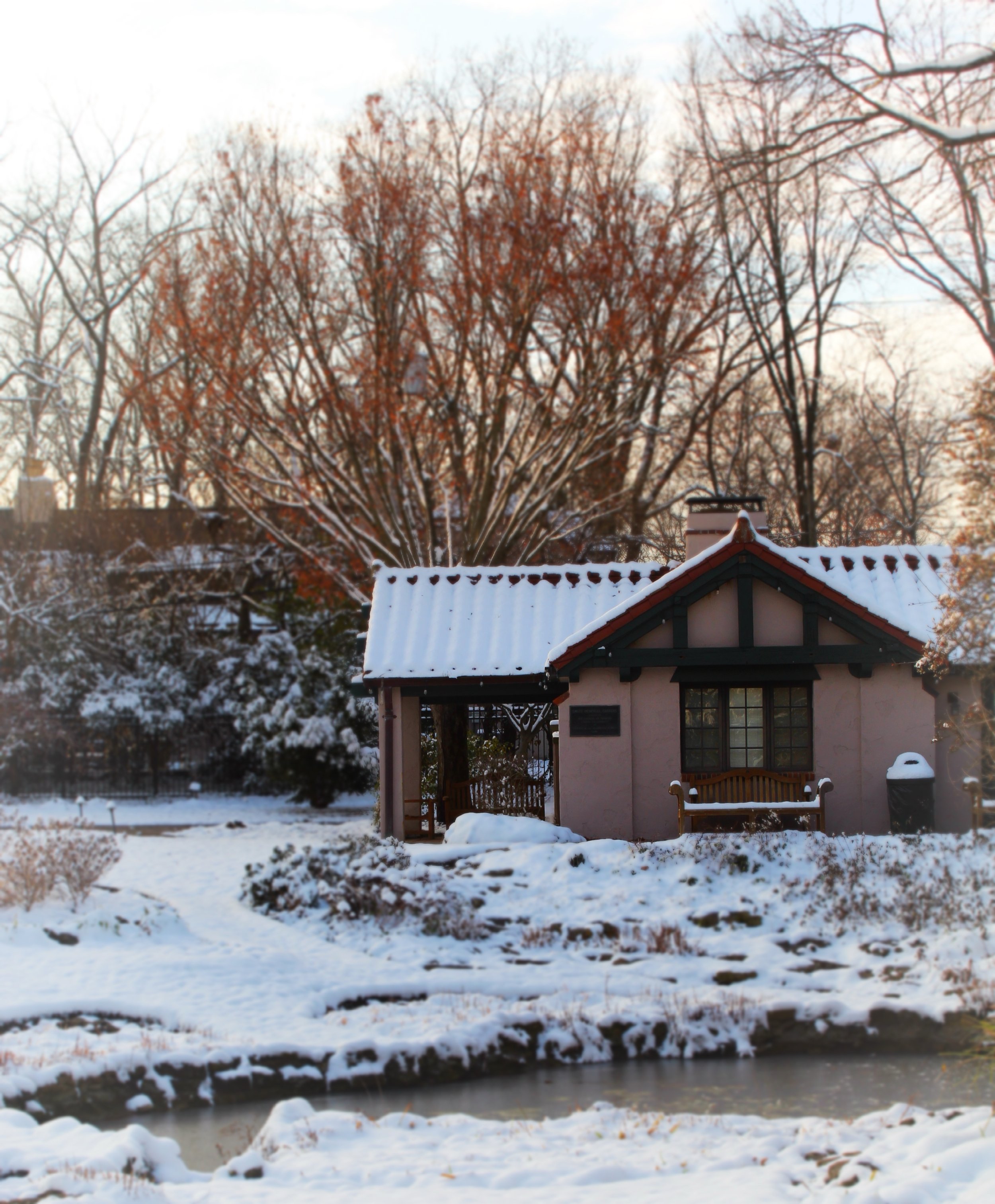 Snowy Gardens, Photographed by Audrey Creighton (2025)