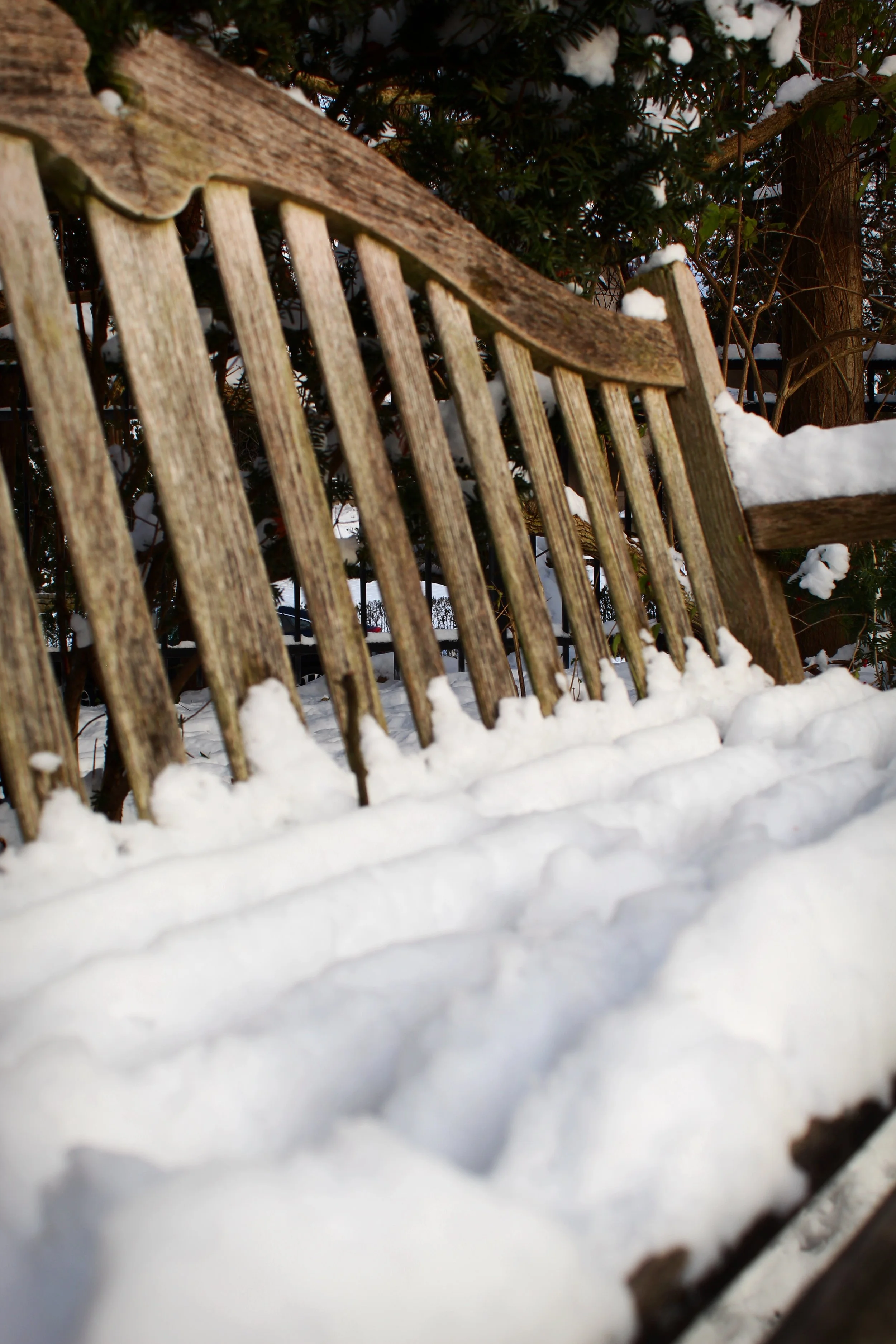 Chilly Bench, Photographed by Audrey Creighton (2025)