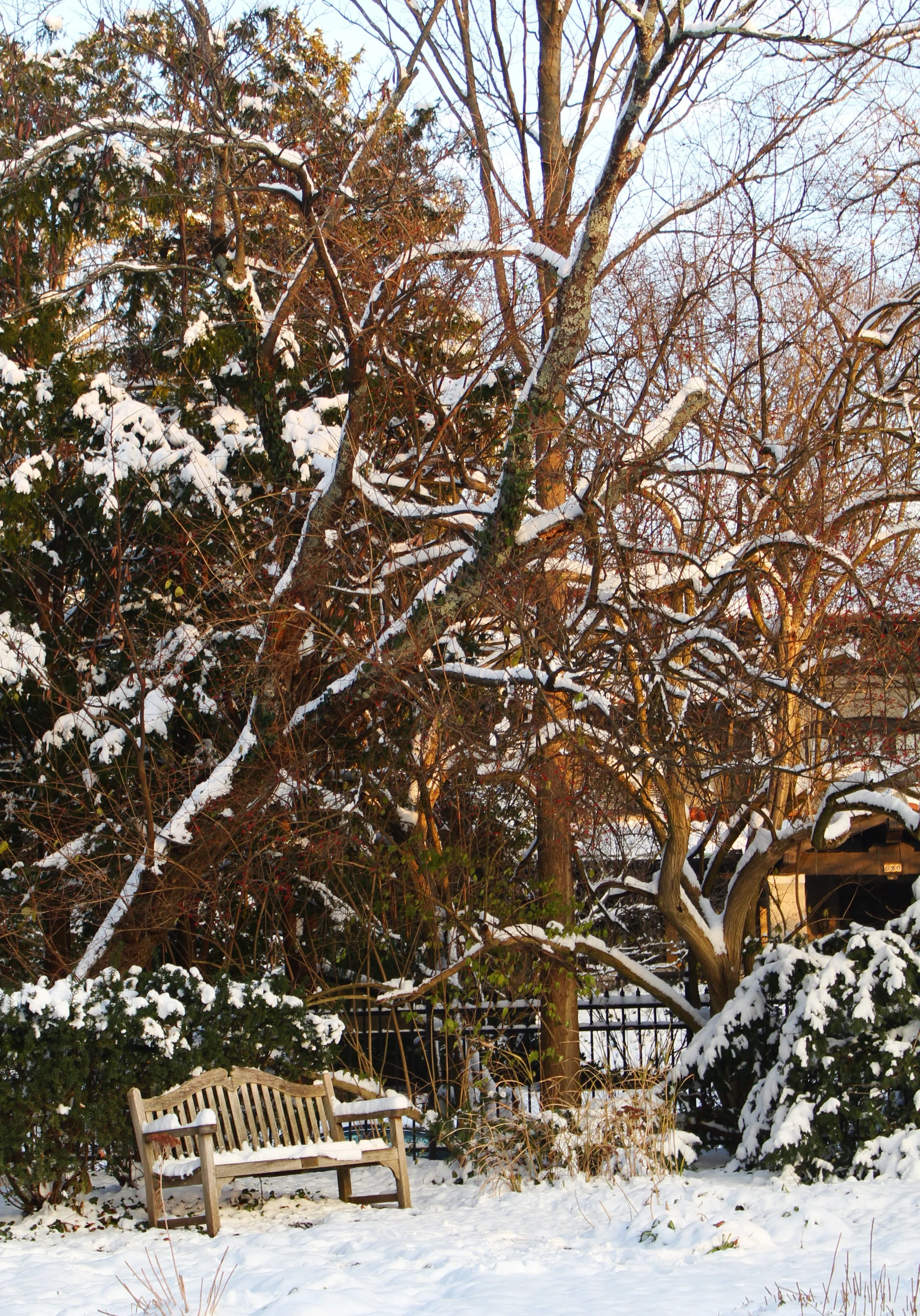 The Bench, Photographed by Audrey Creighton (2025)