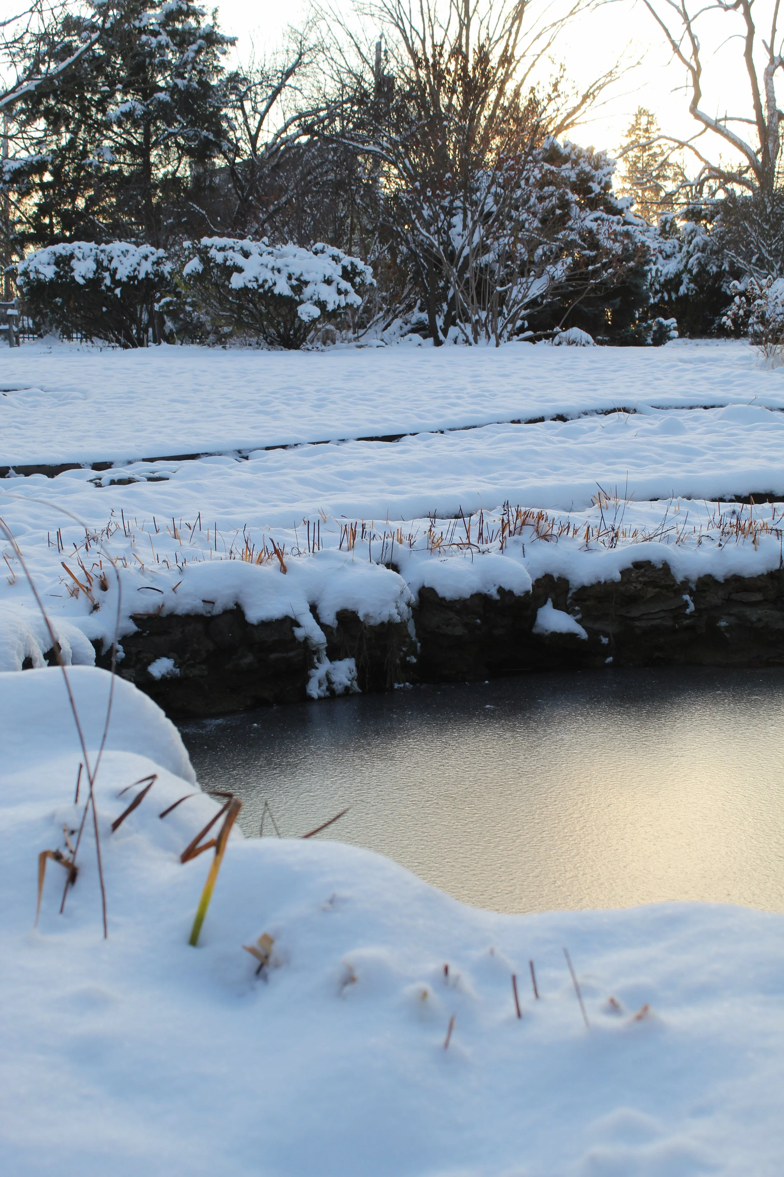 Frozen Waters, Photographed by Audrey Creighton (2025)
