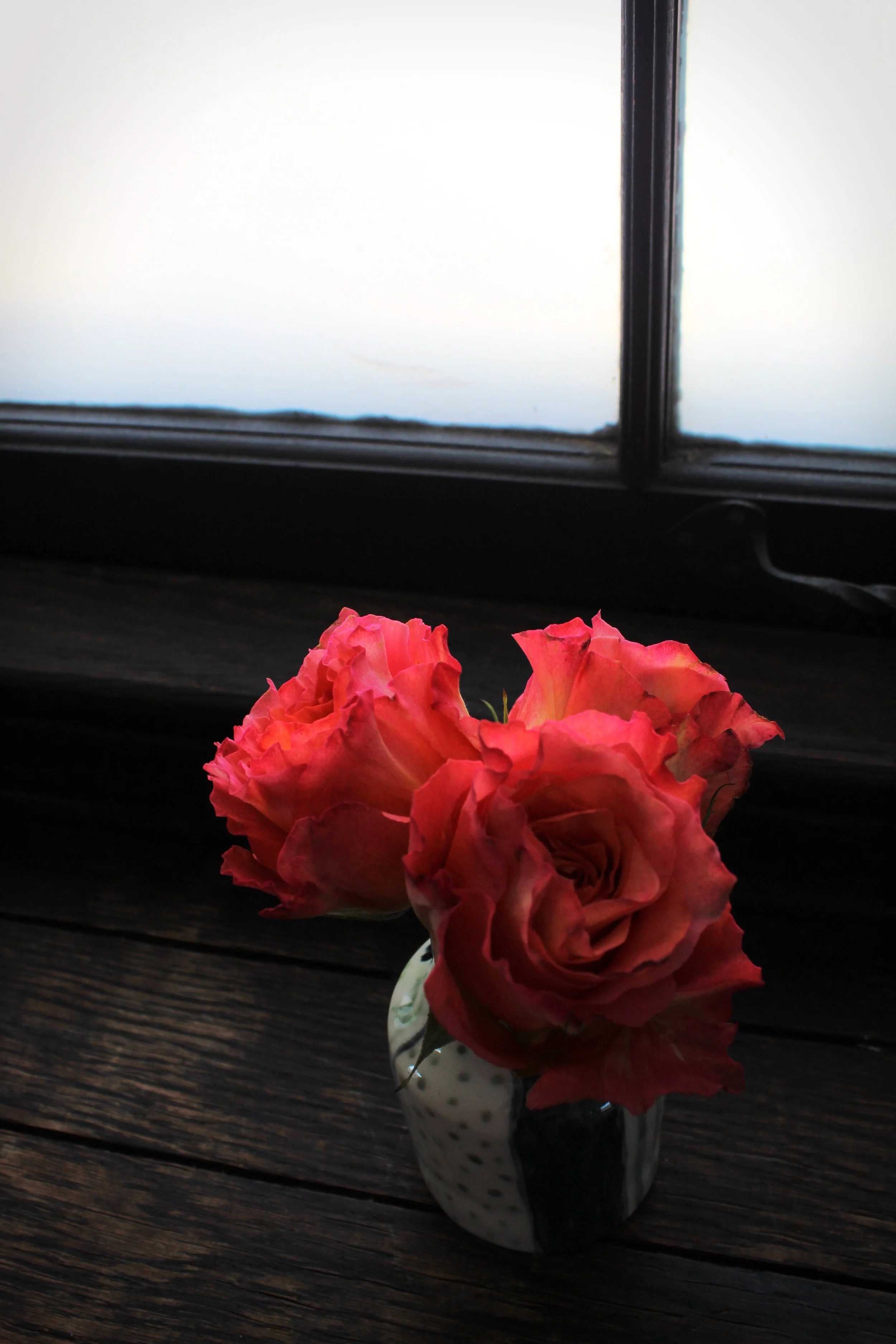 Roses Pt. 5, Photographed by Audrey Creighton (2026)