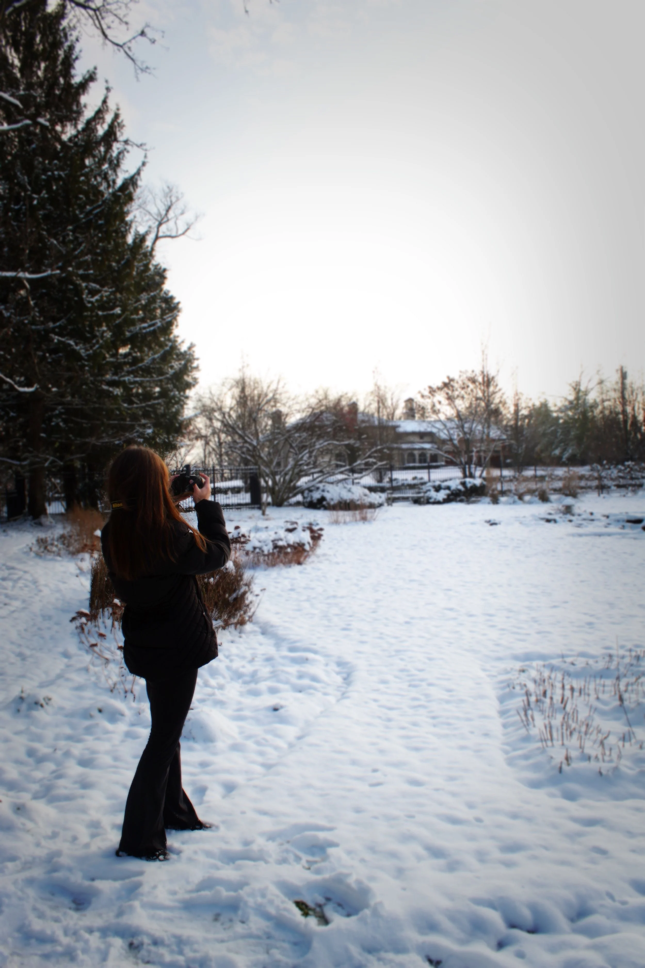 Winter Captures, Photographed by Audrey Creighton (2025)