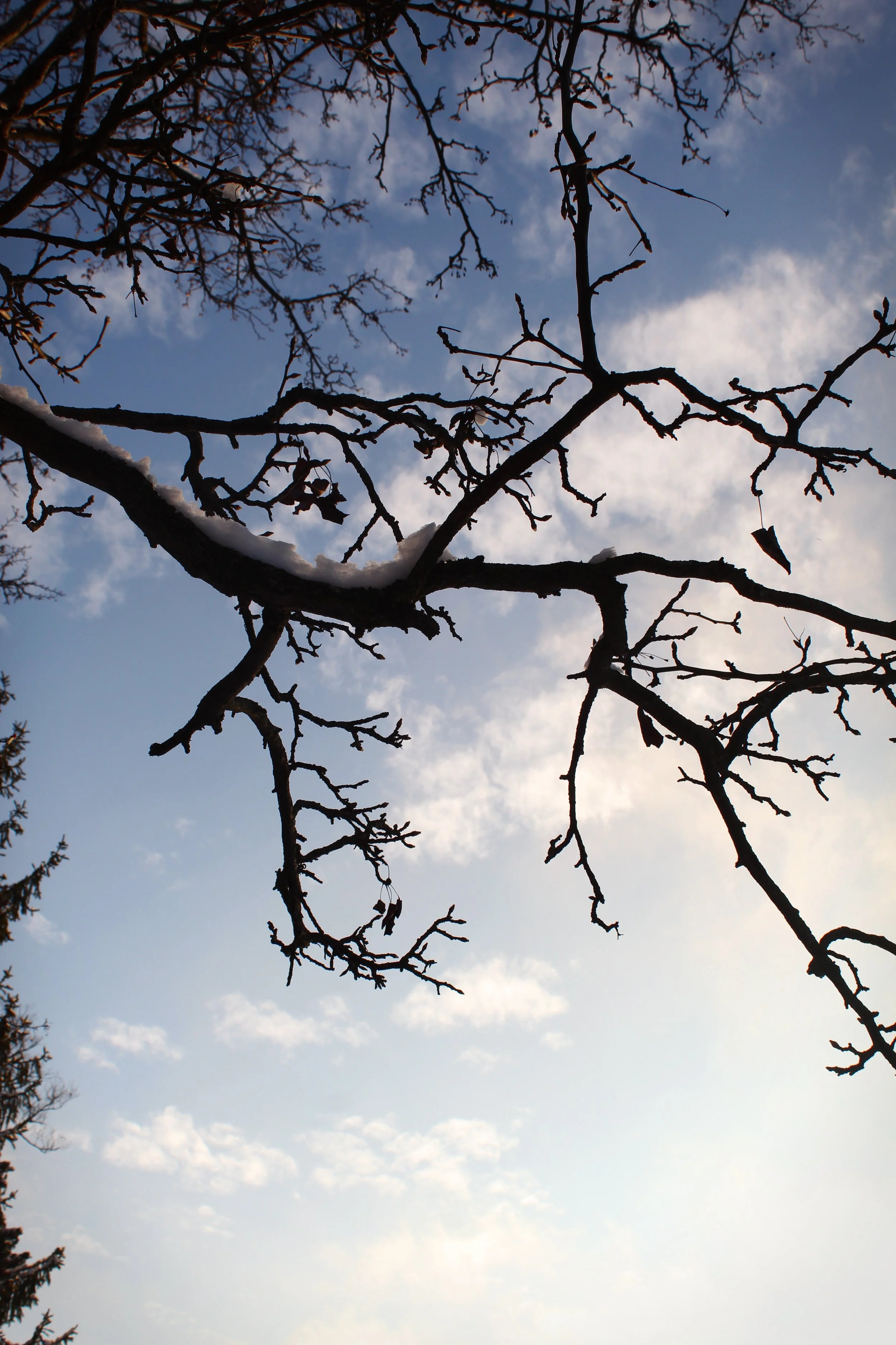 Sticky Sky, Photographed by Audrey Creighton (2025)