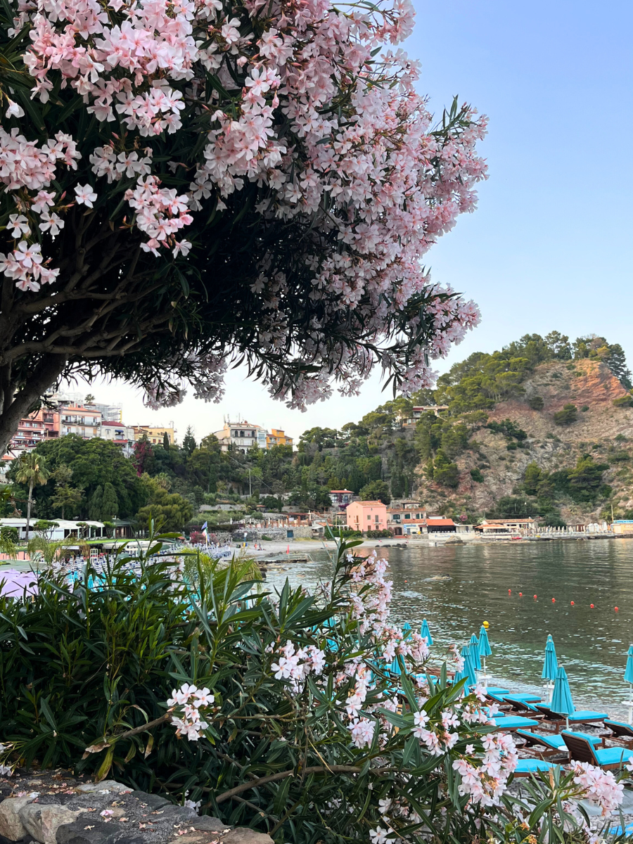 Italian Flowers, Photographed by Audrey Creighton (2025)