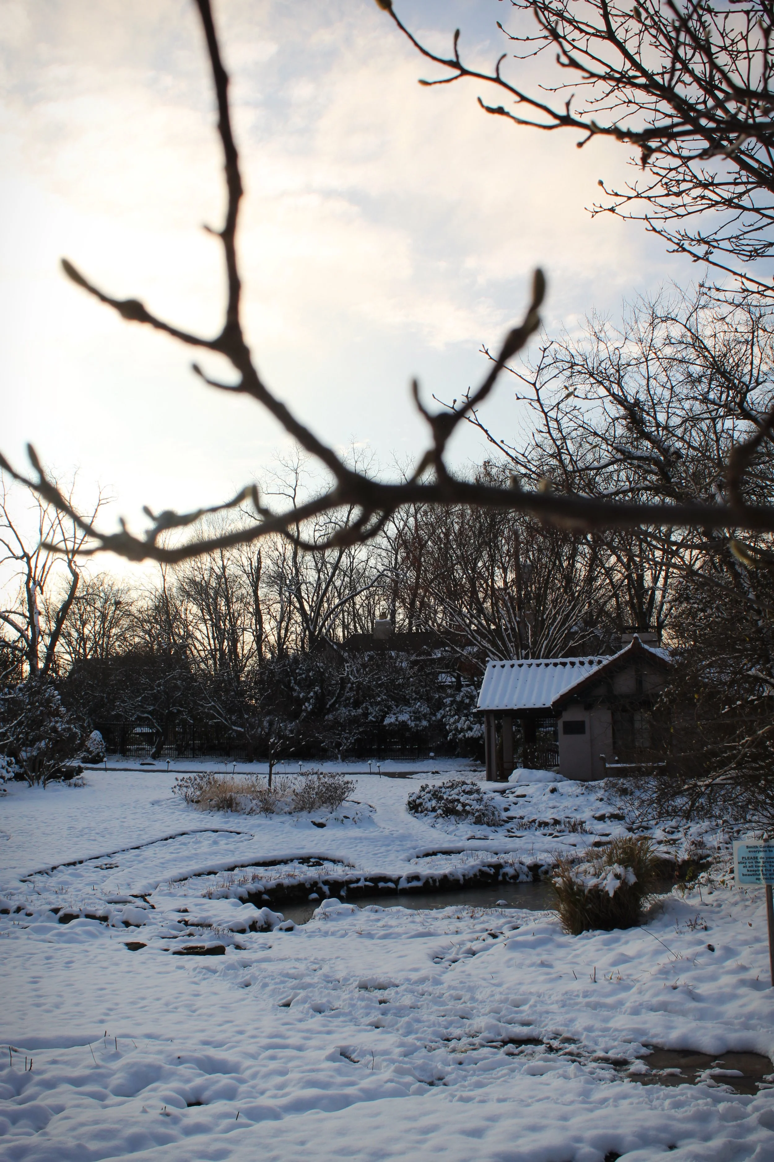 Snowy Skies, Photographed by Audrey Creighton (2025)