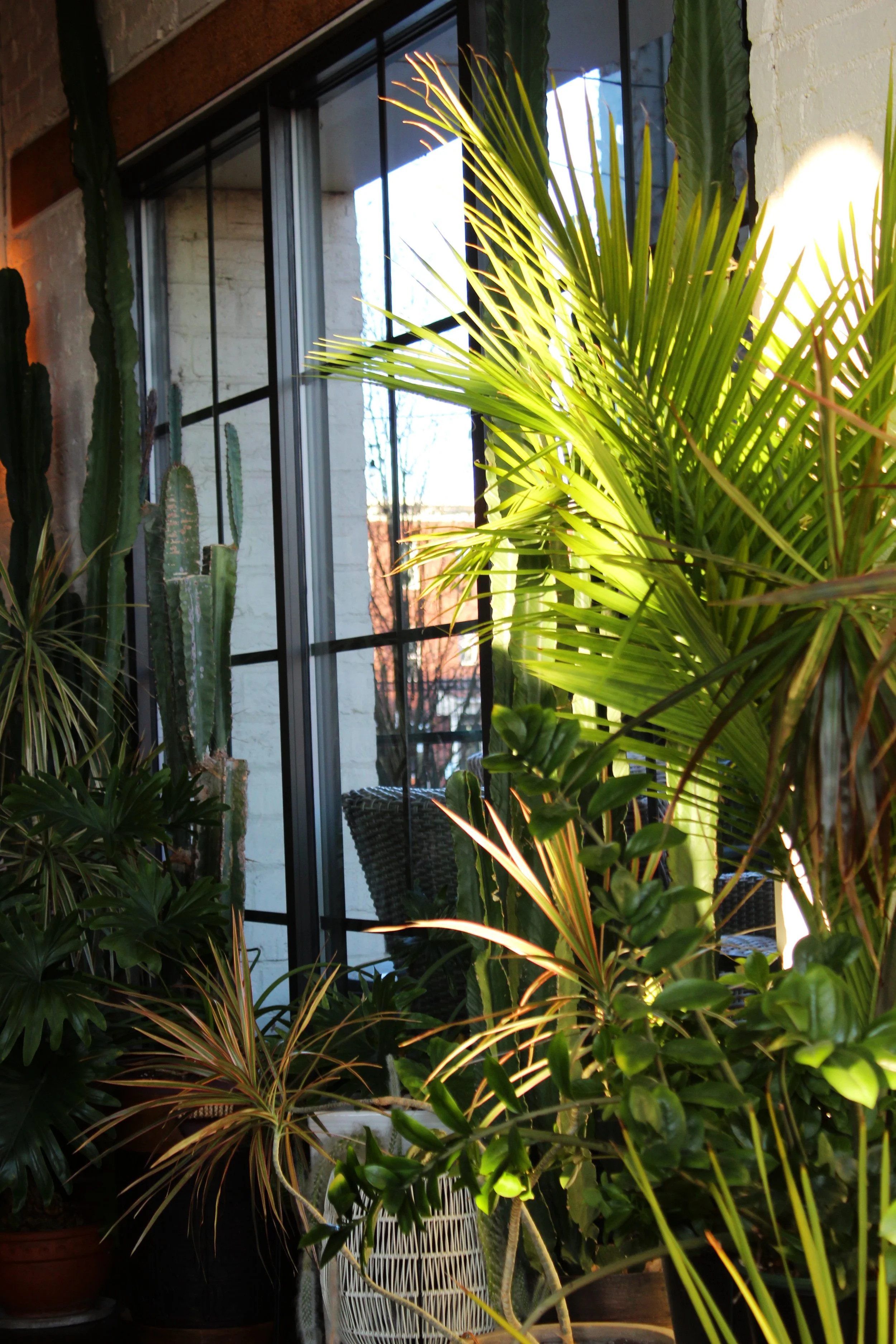 'From Dayton' Cookbook Launch Party #21.jpg