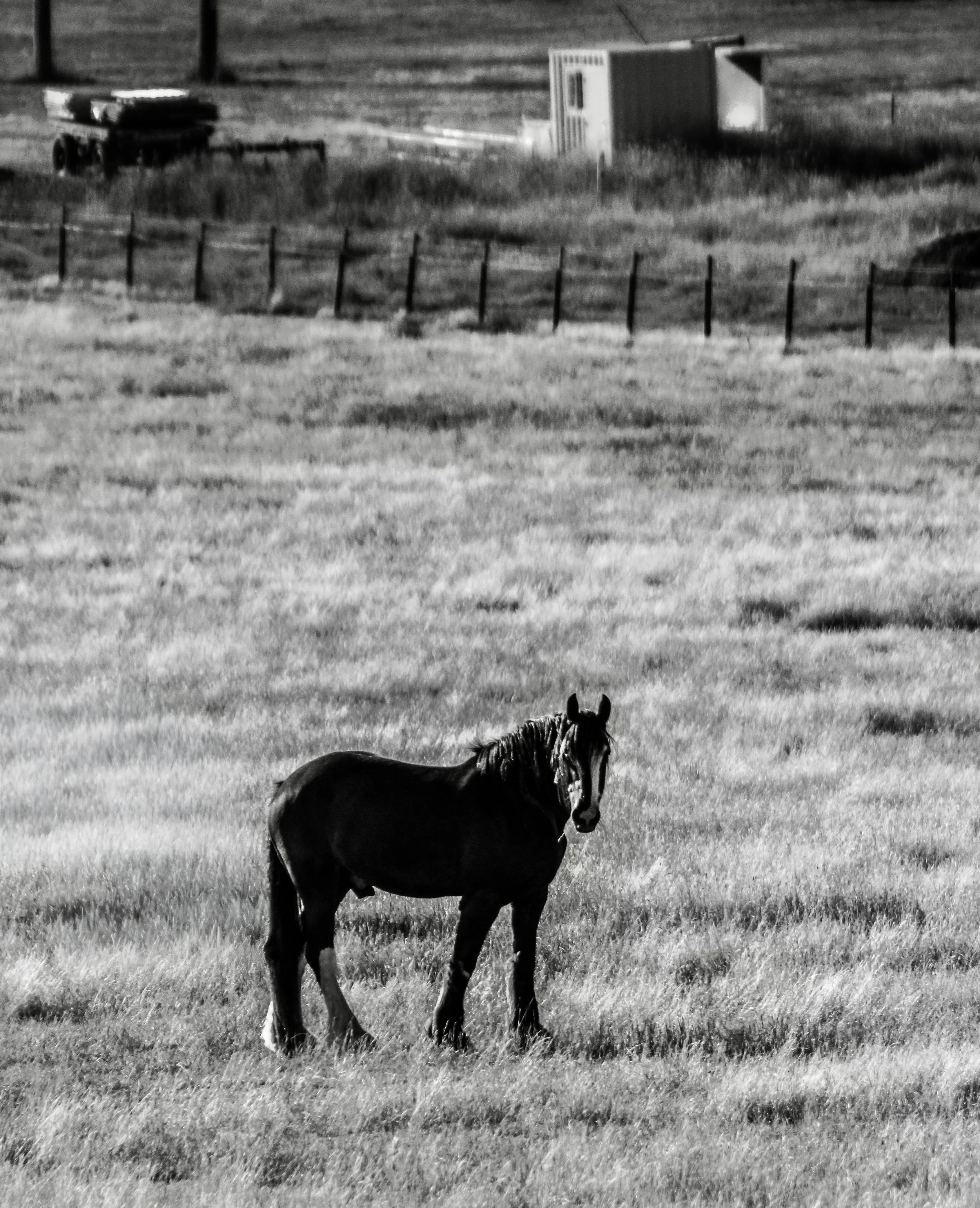 The Frame That Found Me