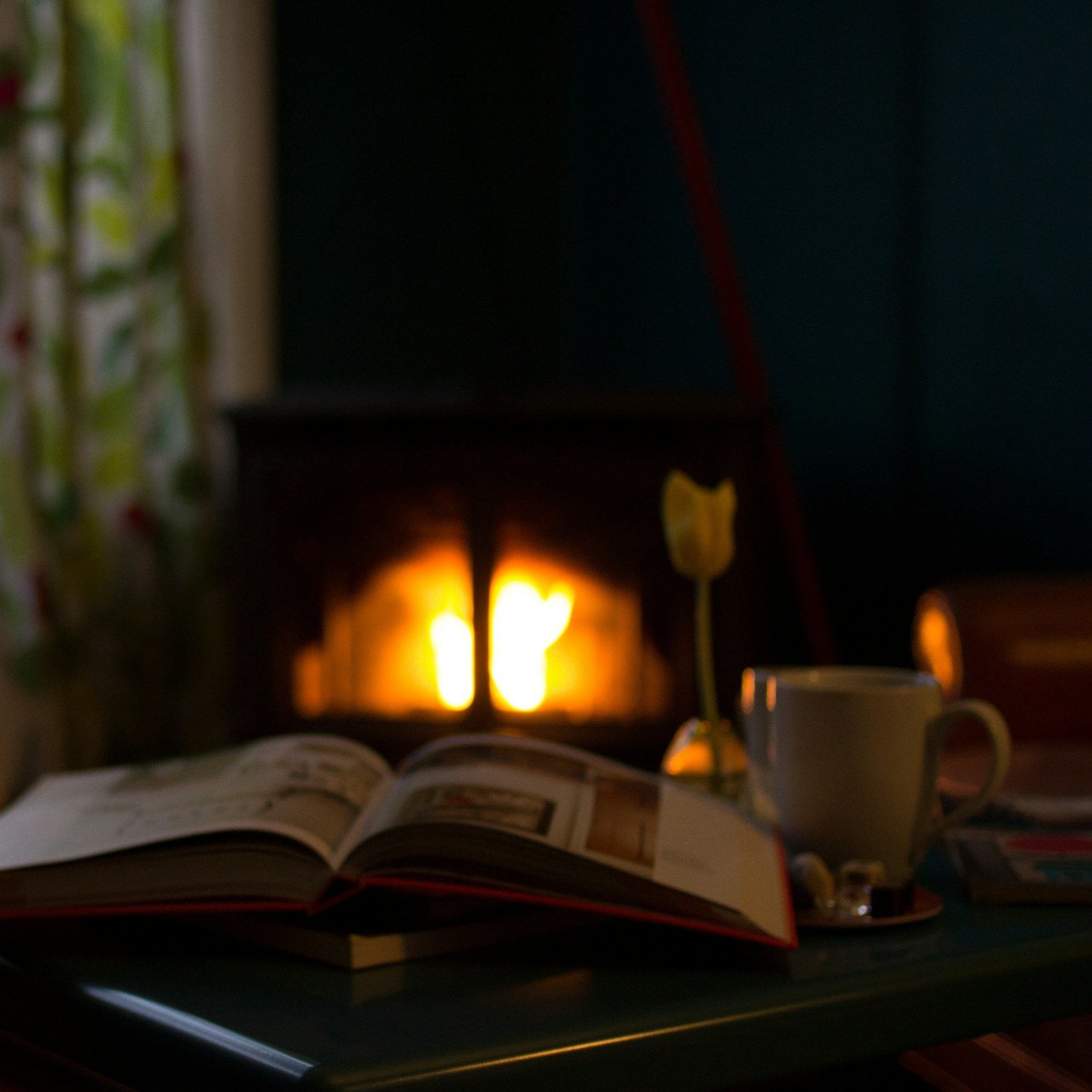 December's Top Reads
