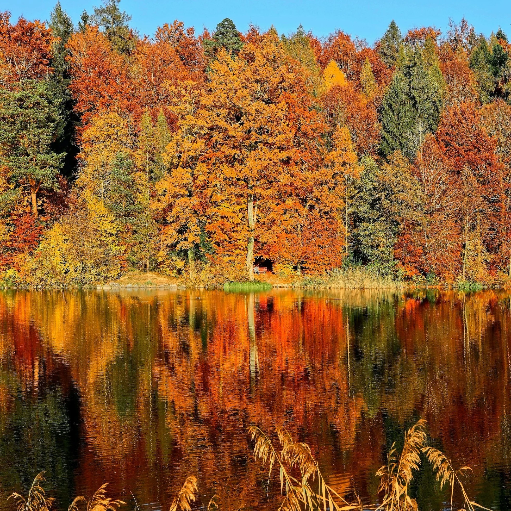 October's Top Reads