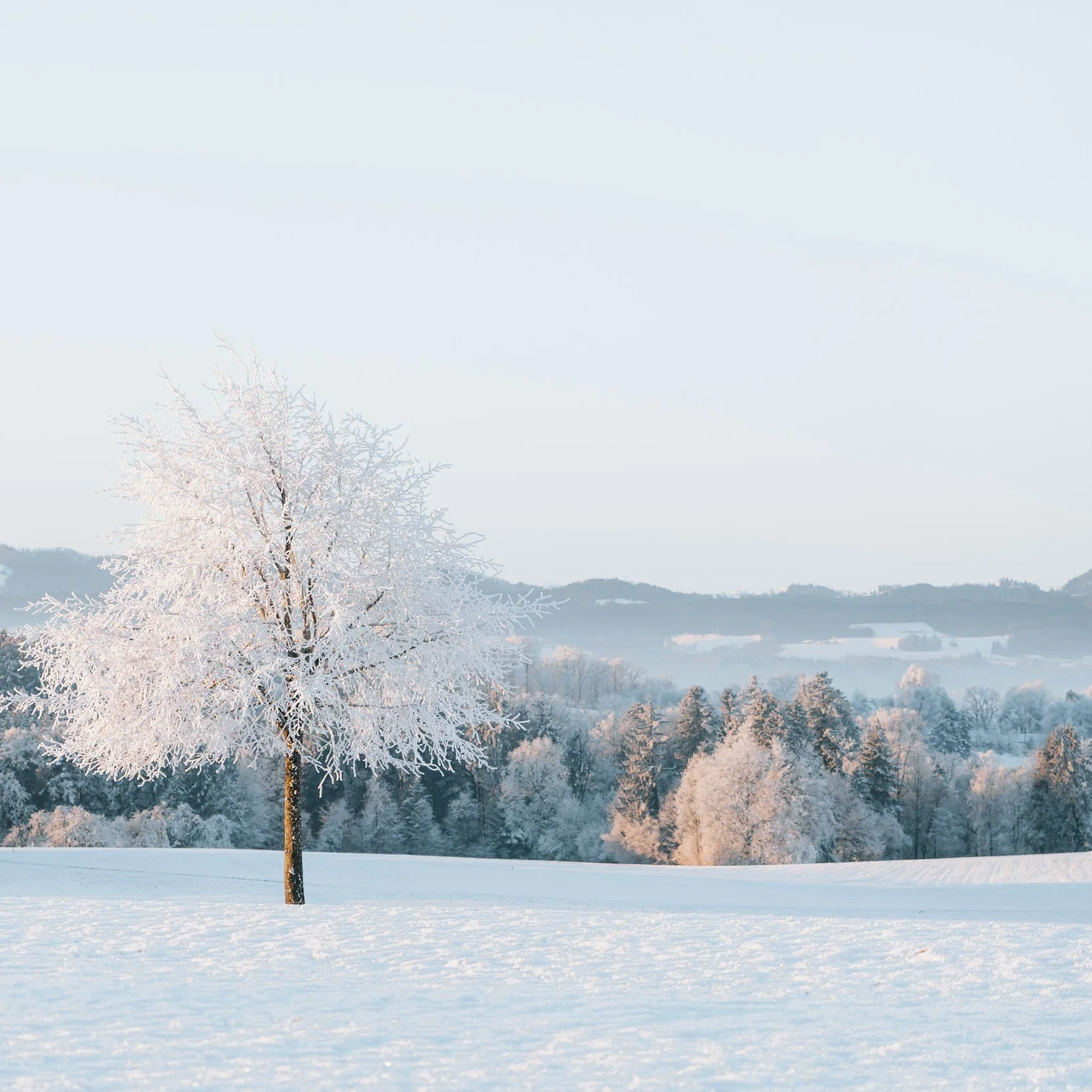 January’s Top Three Reads