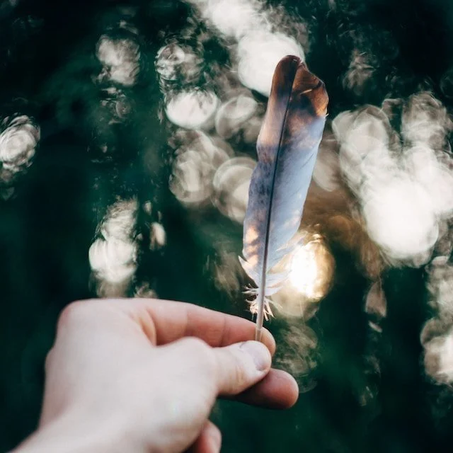 Tender Money Conversations