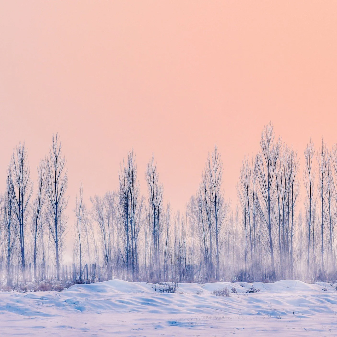 February’s Top Three Reads