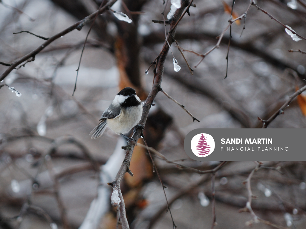 Getting Organized for Financial Planning (especially if you've never done it before)