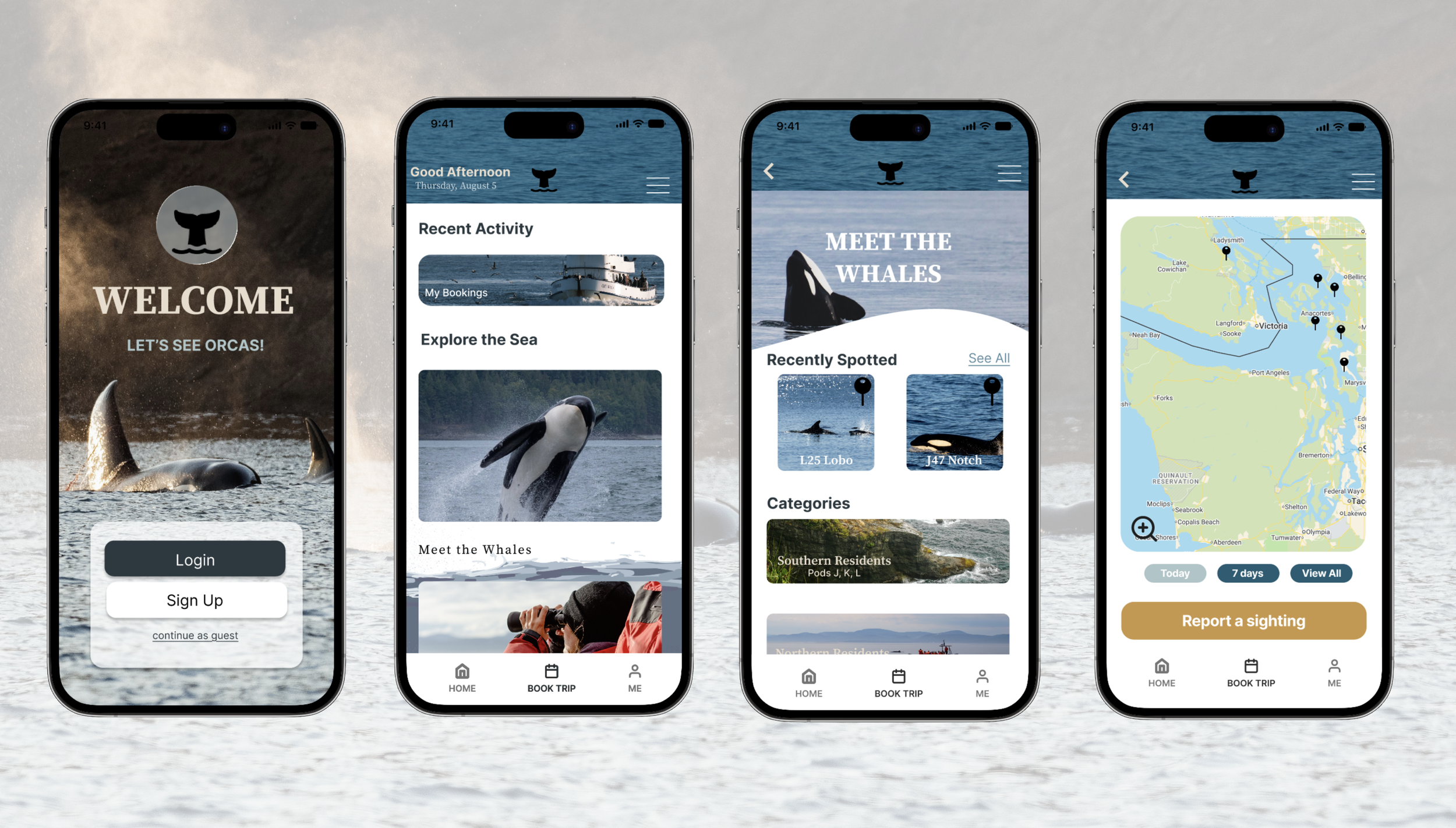 See Orcas
