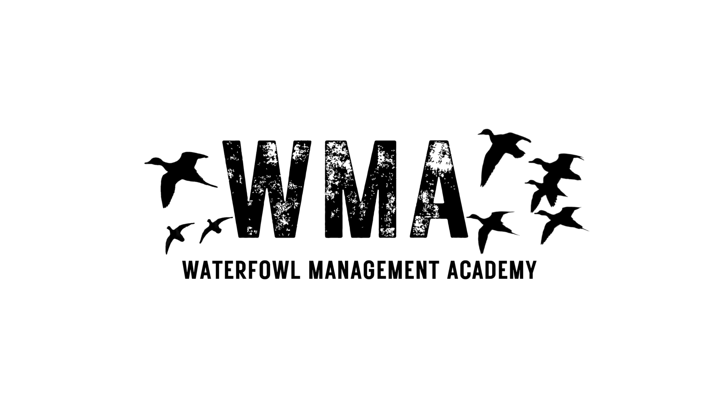 WMA