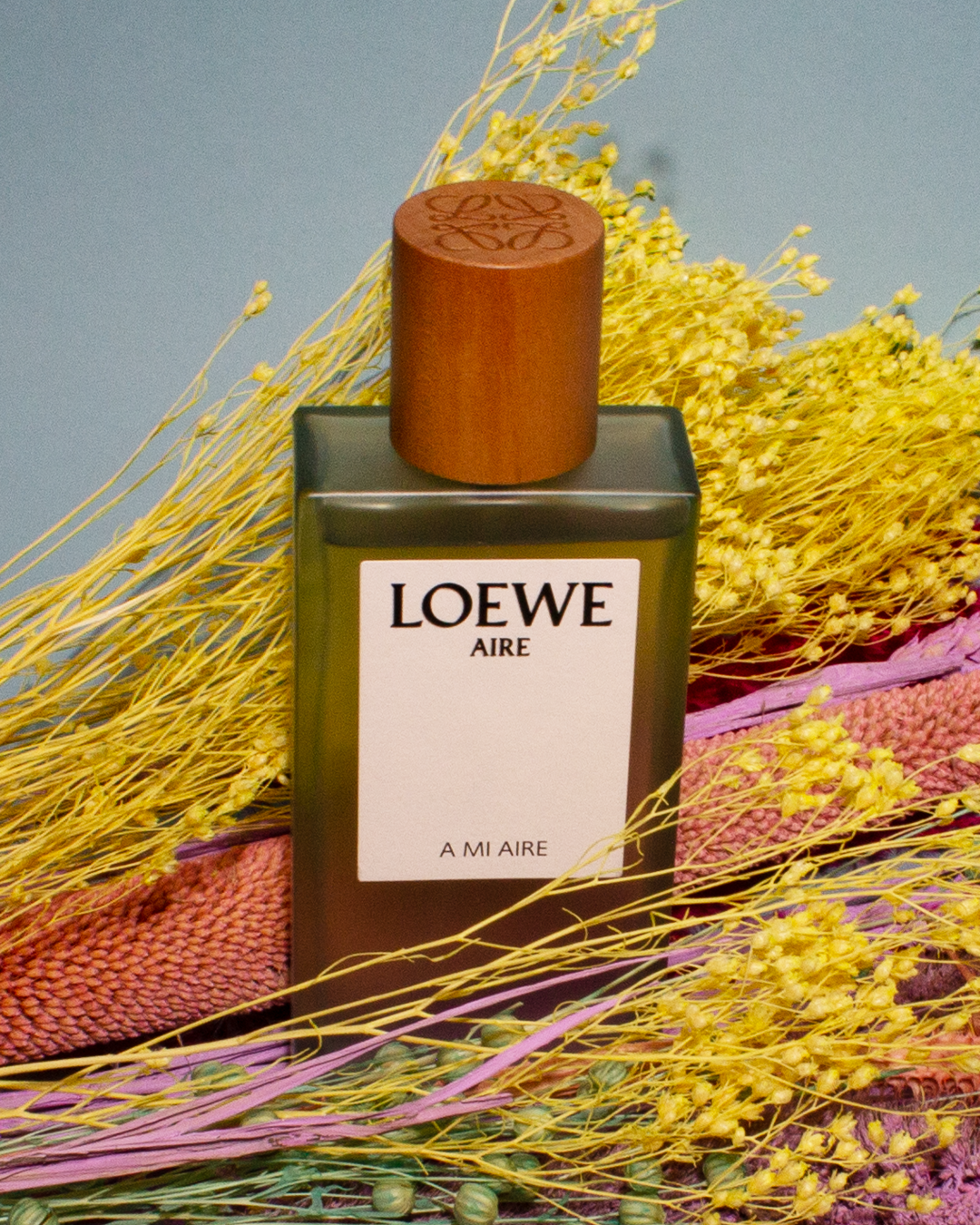 loewe-2.png