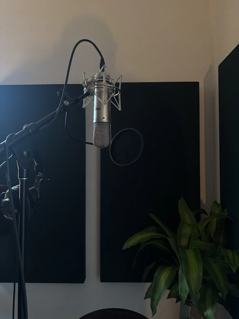 Professional condenser microphone and acoustic treatment in Nashville vocal recording studio