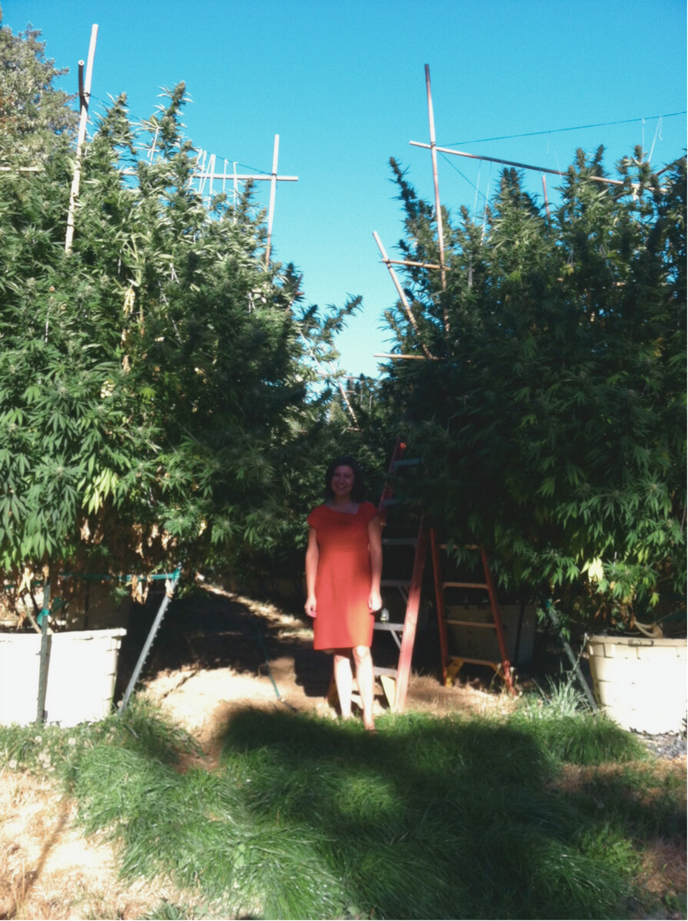 Harvest Law