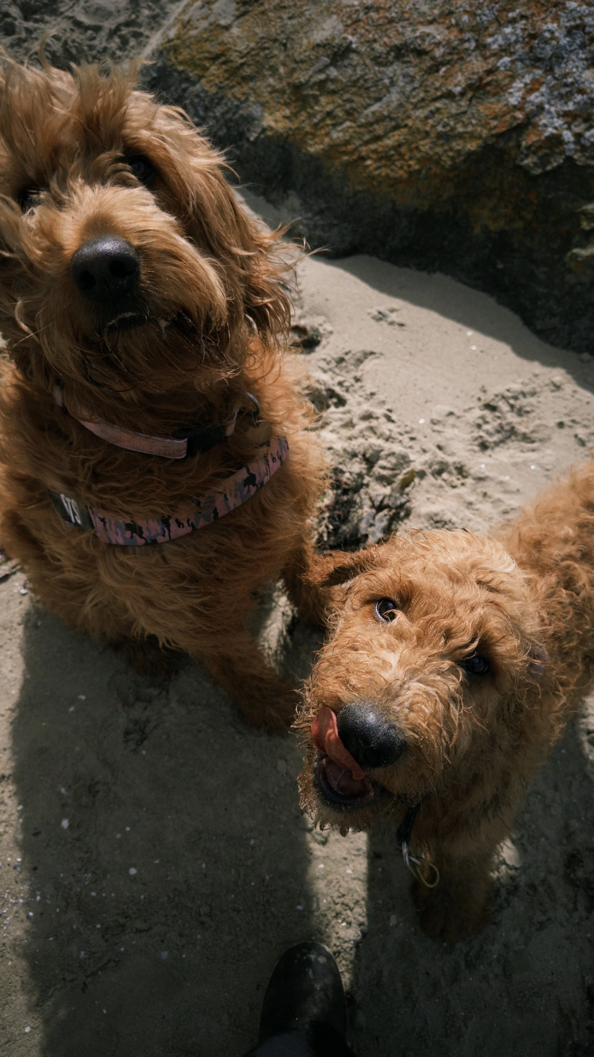 fxn 2026-03-26 114802A5DDF261B255.jpeg