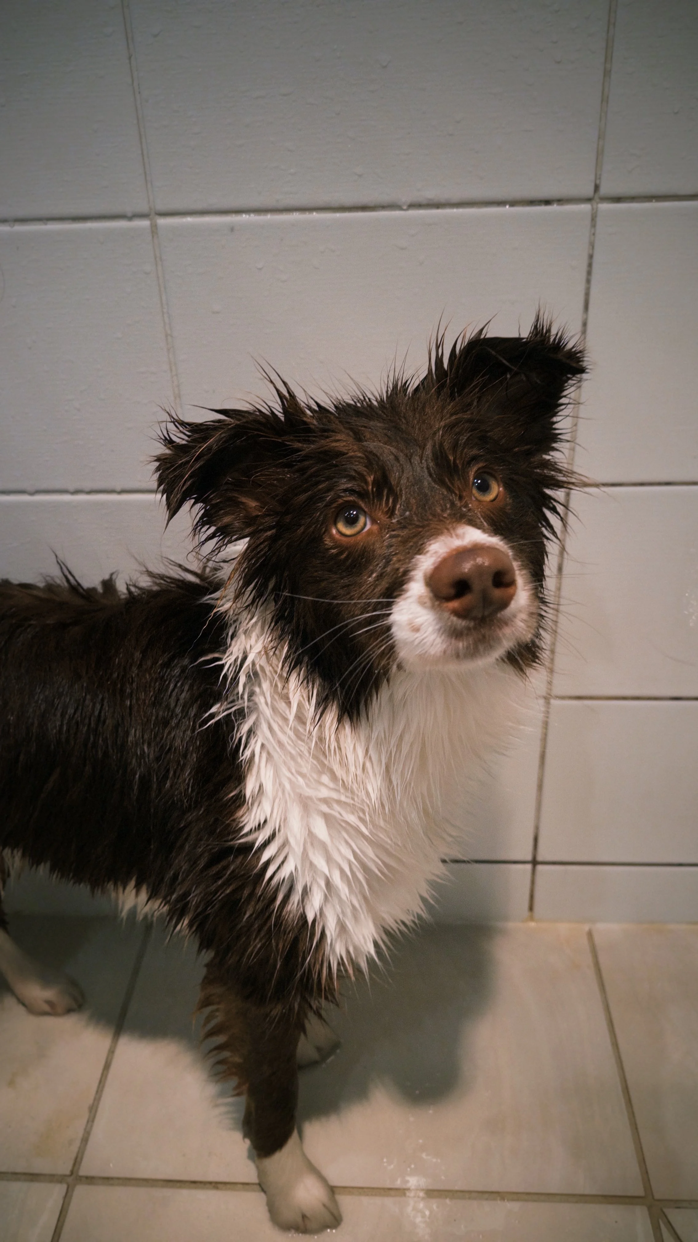 fxn 2025-06-27 132952.531.jpeg