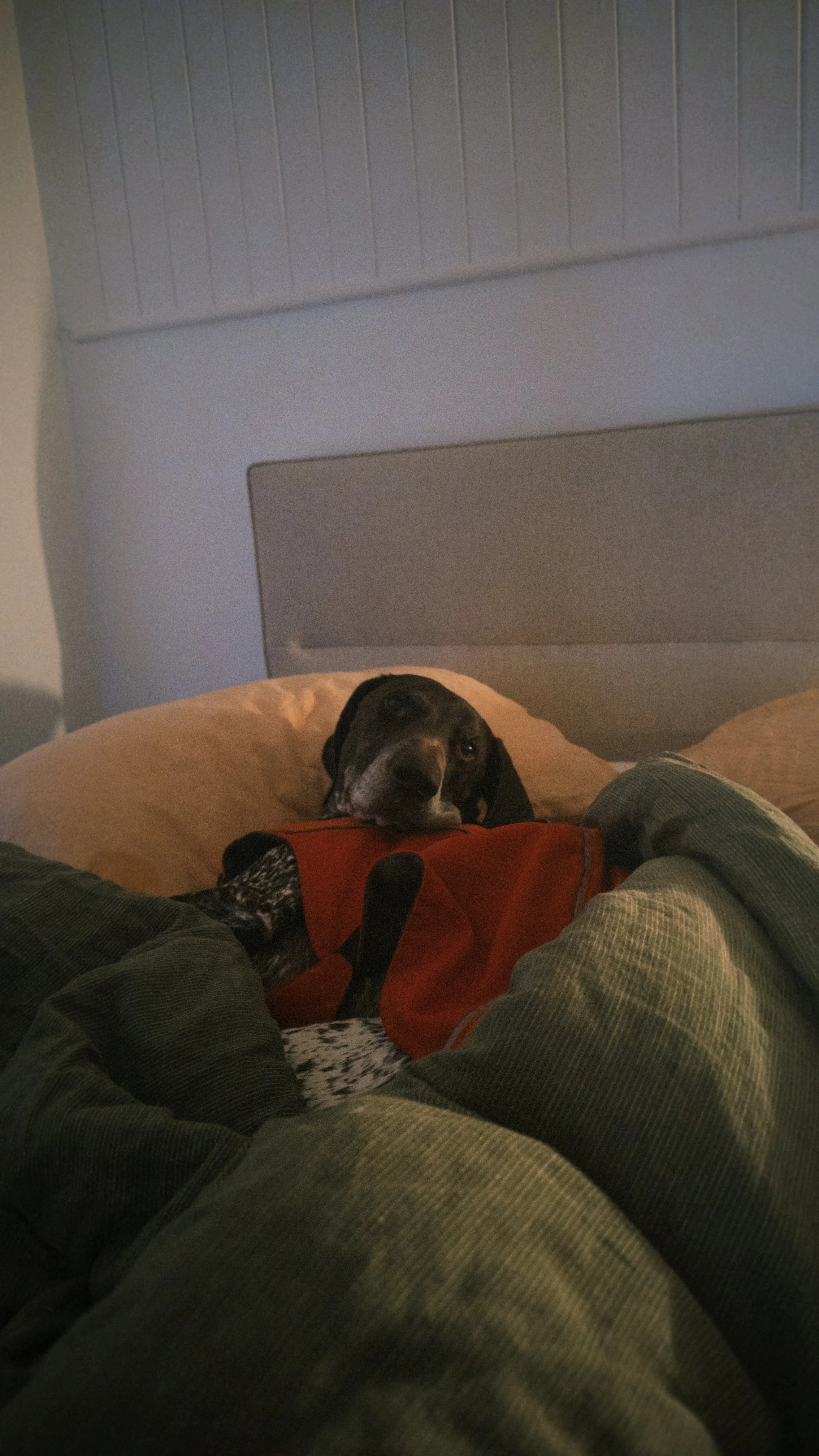 fxn 2025-06-24 075648.697.jpeg