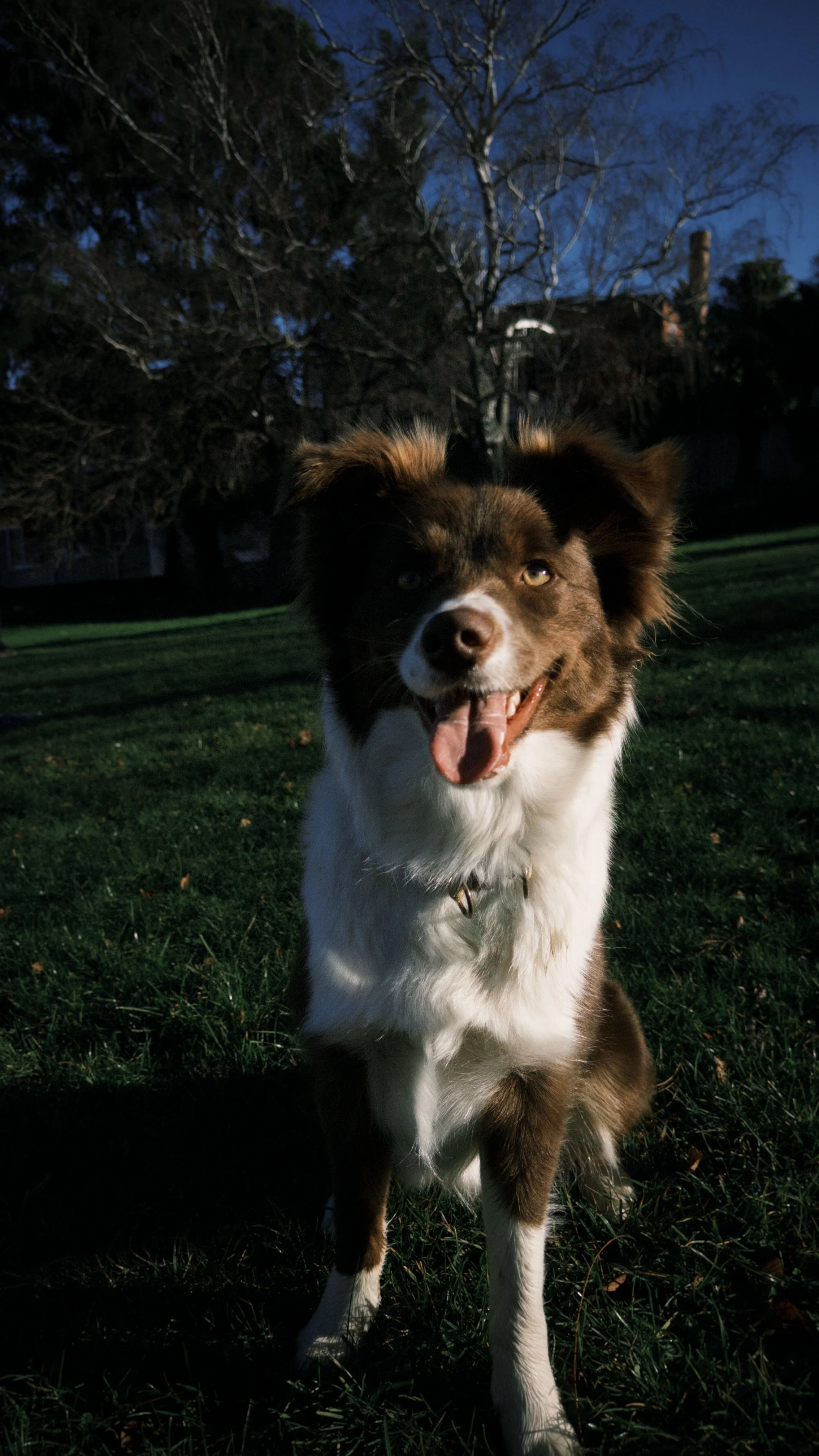 fxn 2025-06-26 102234.082.jpeg