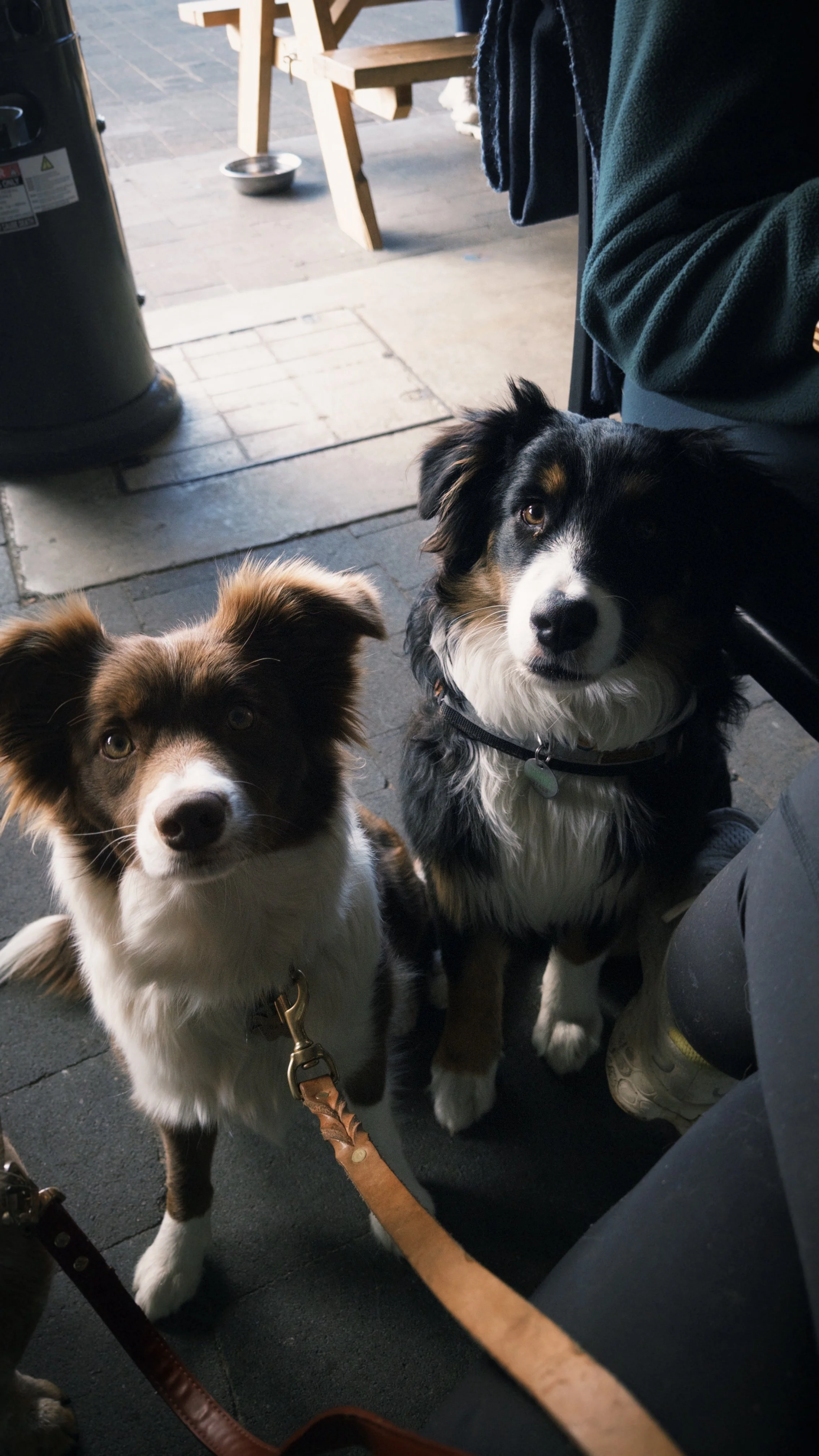 fxn 2025-06-22 115052.472.jpeg