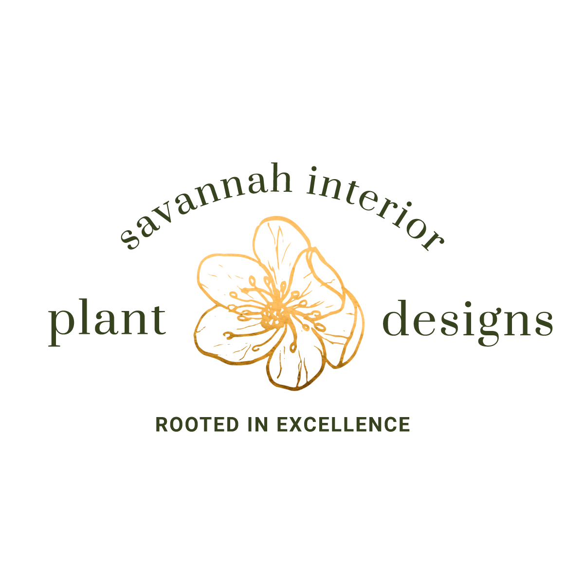 Savannah Interior Plant Designs