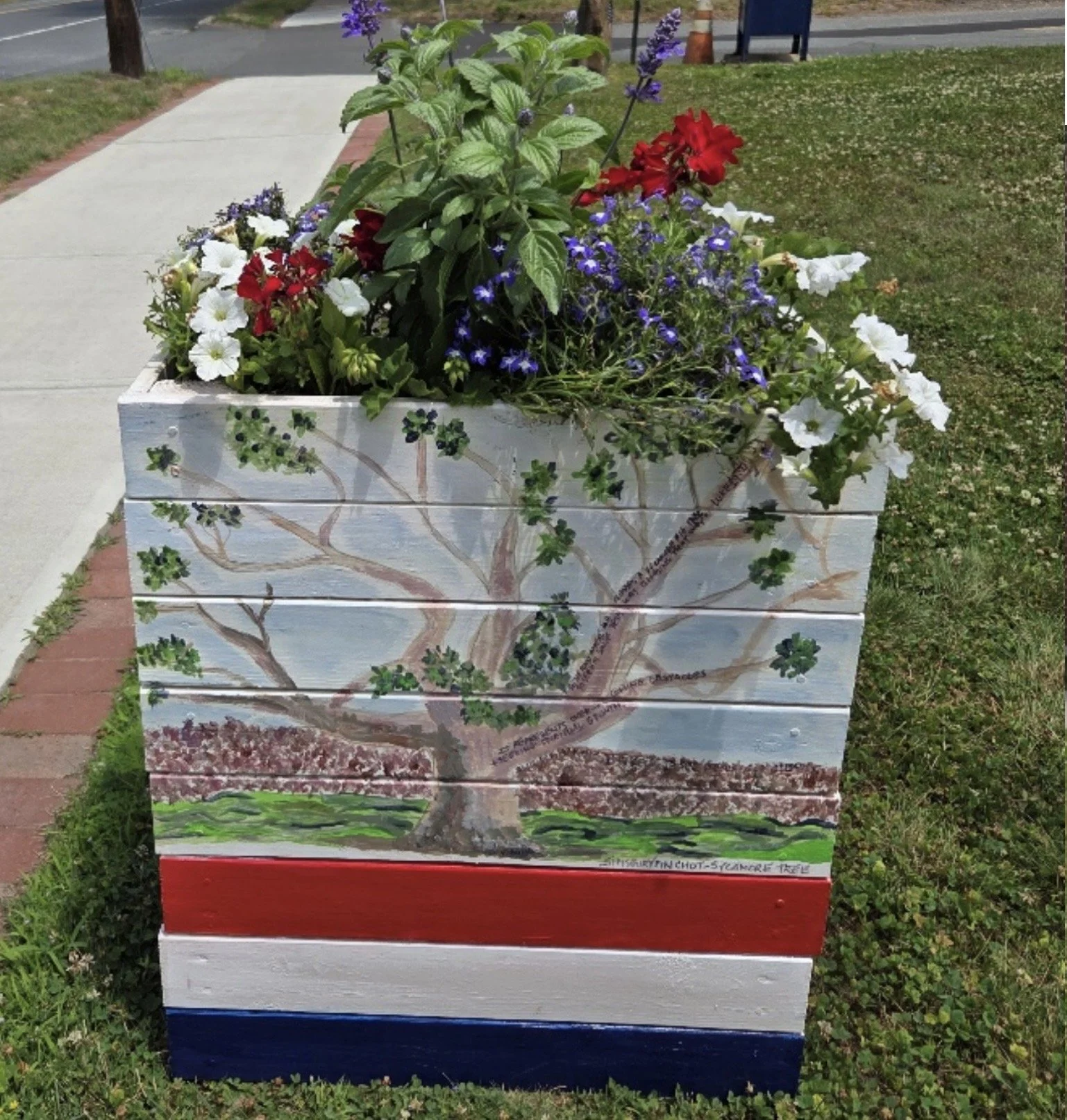 box local artist 4.jpg