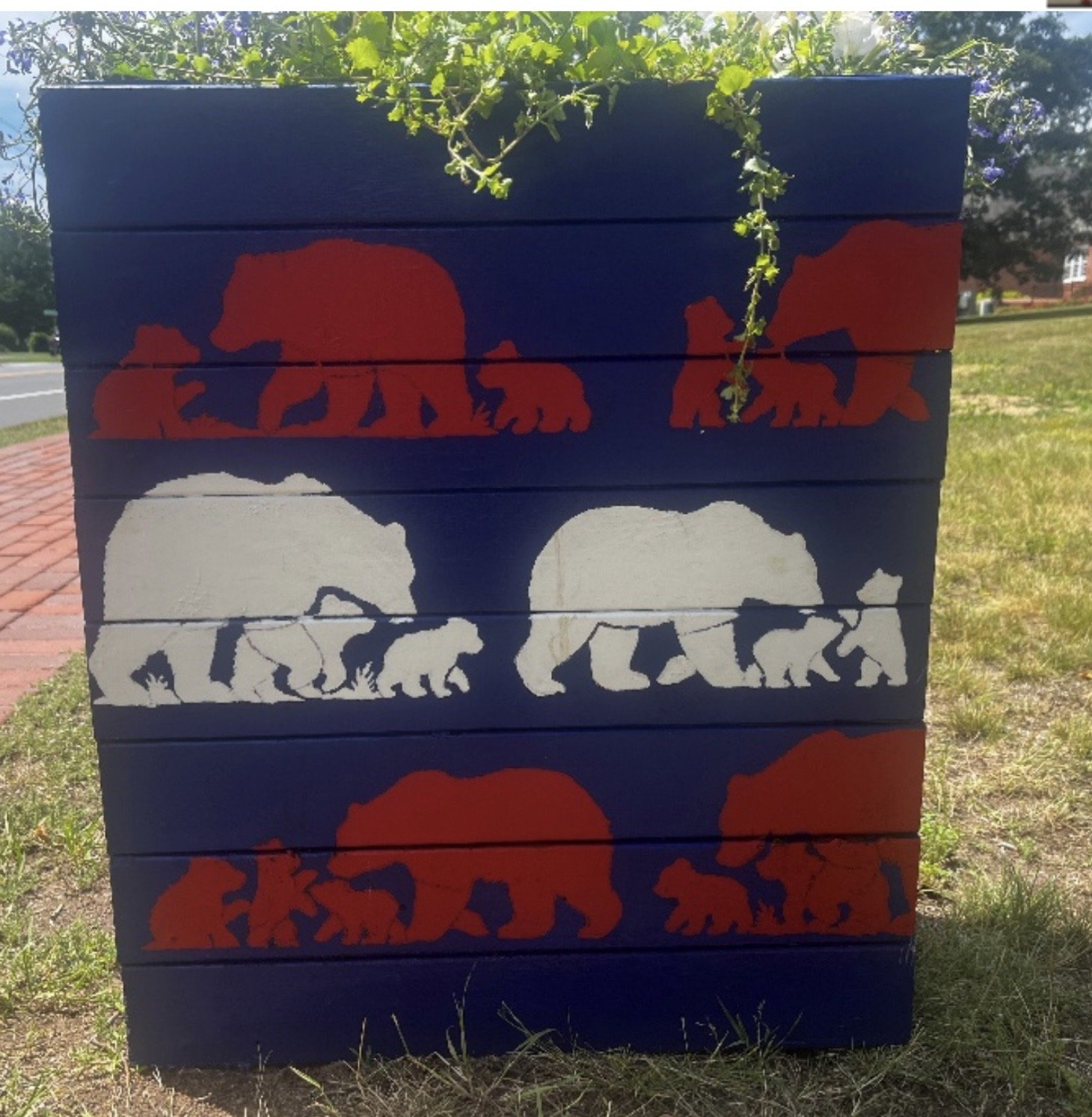 box local artist 5.jpg