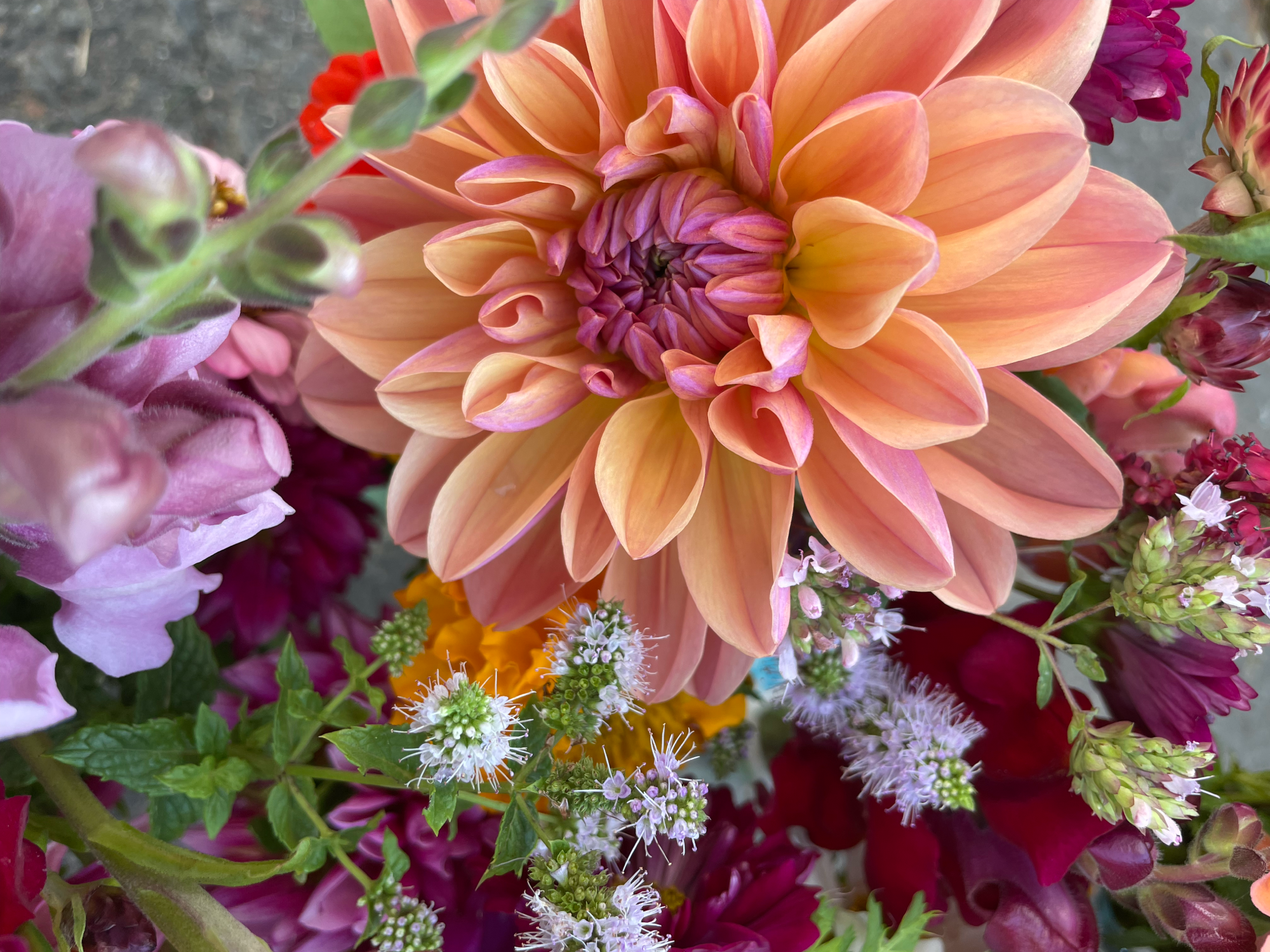 flower_header.png