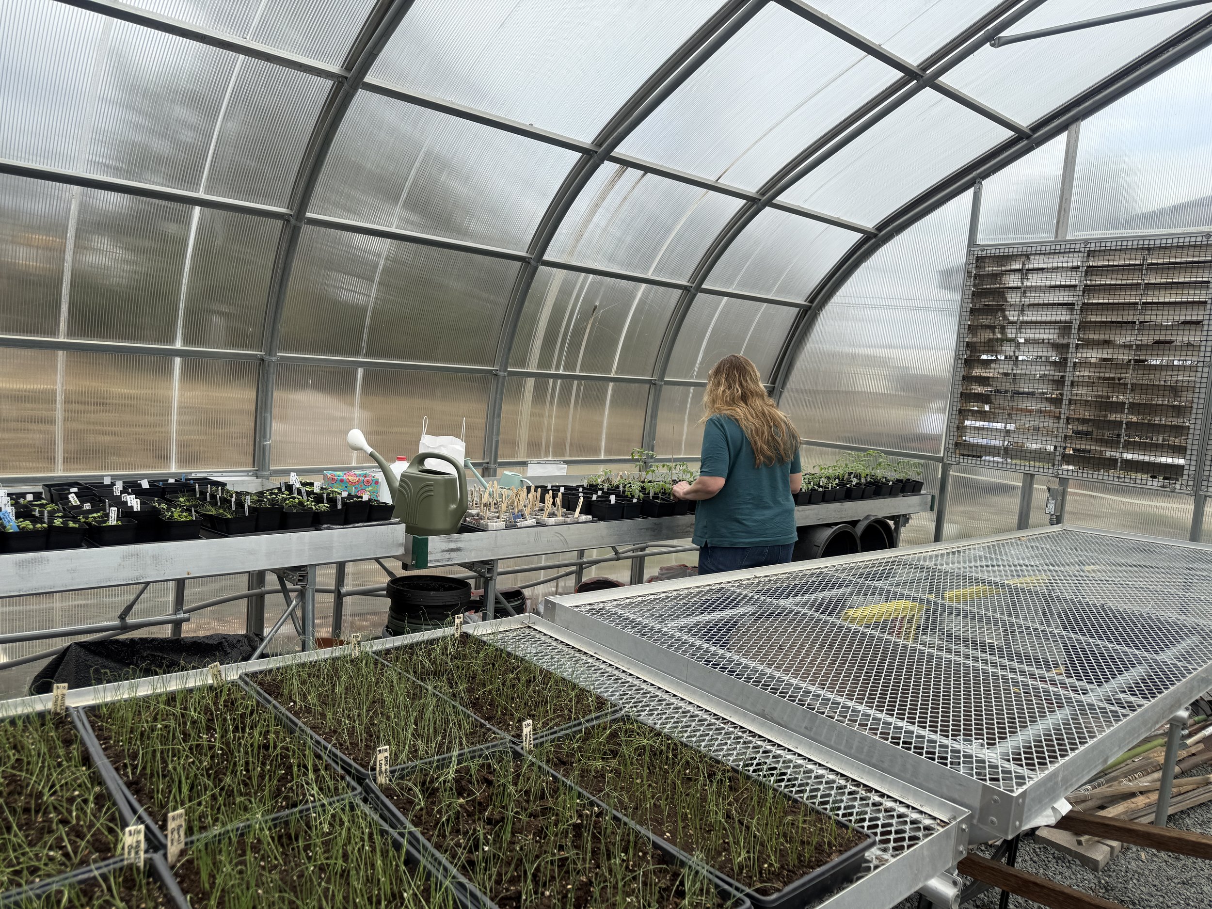 2026-04-01 15.13.02.jpg