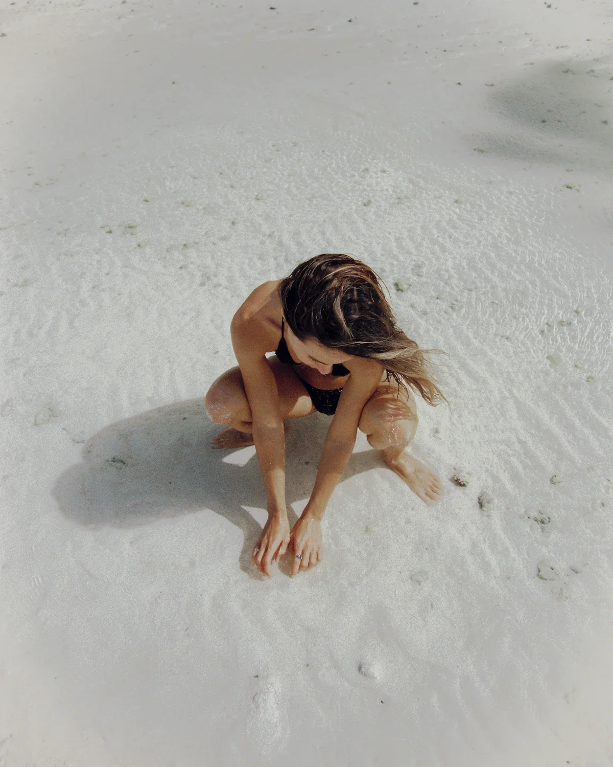 Cocos.webp