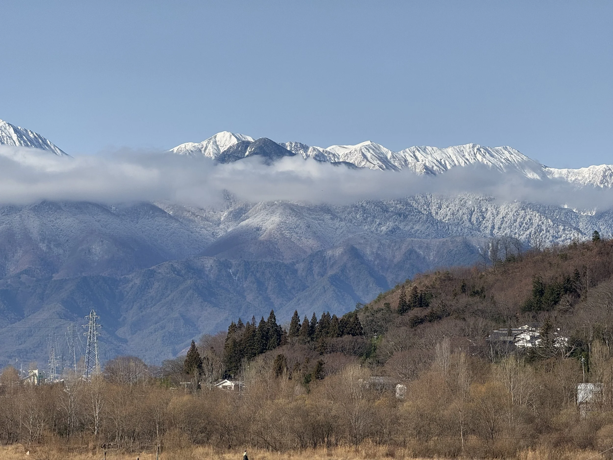 IMG_9764.jpg
