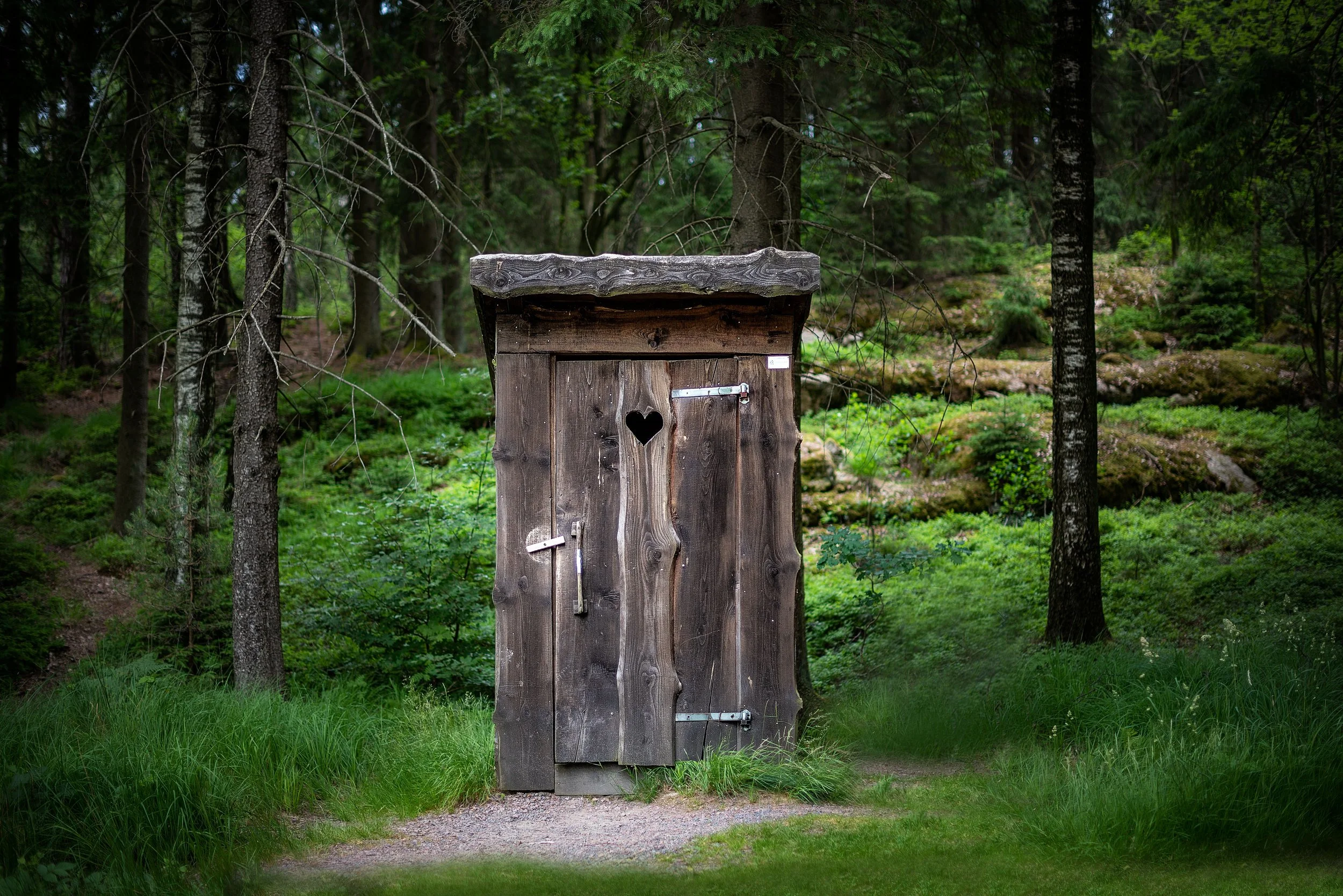 Compost Toilets for RVs, Homesteads, and the World!