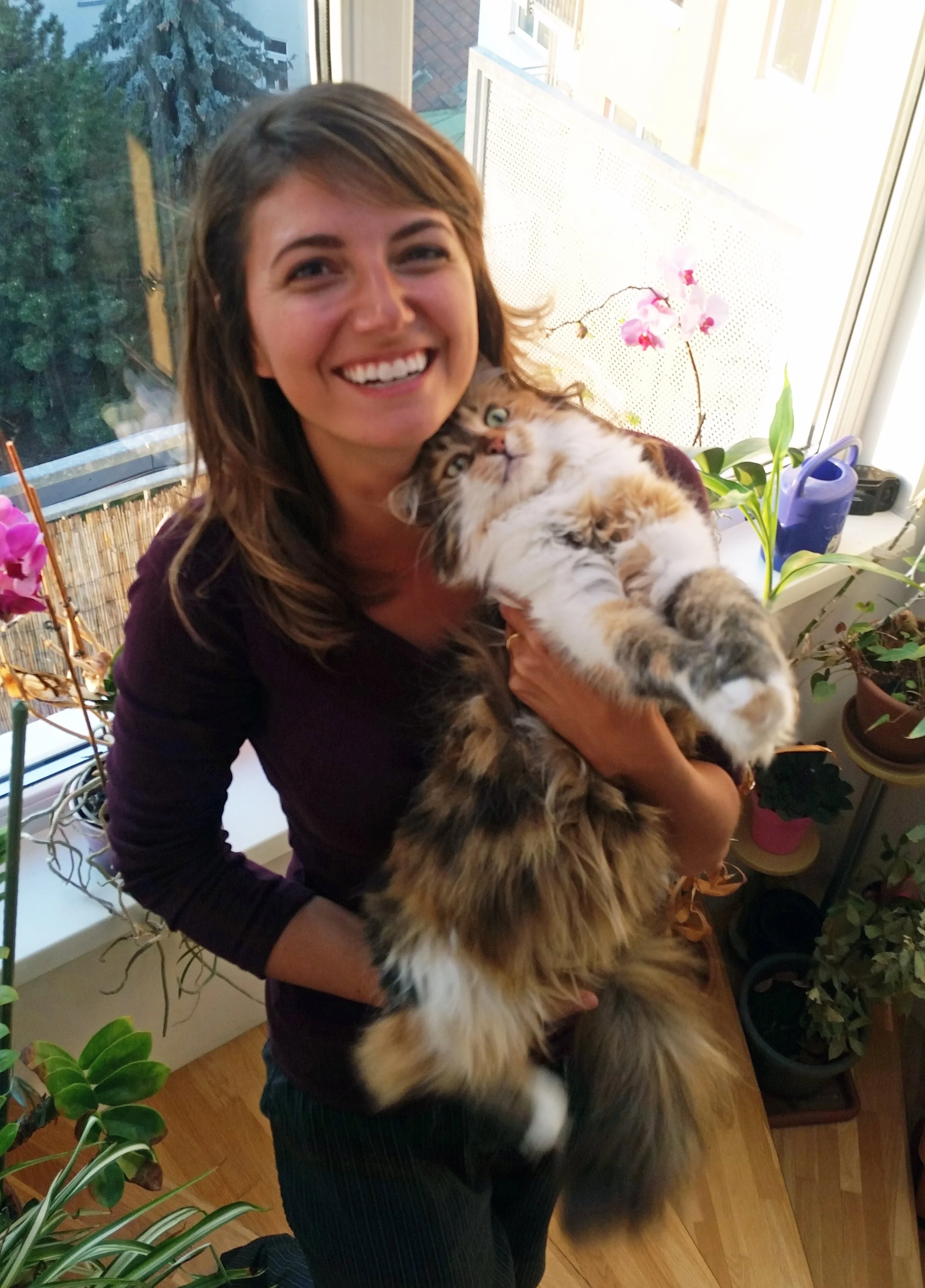 Housesitting is a budget backpacking option