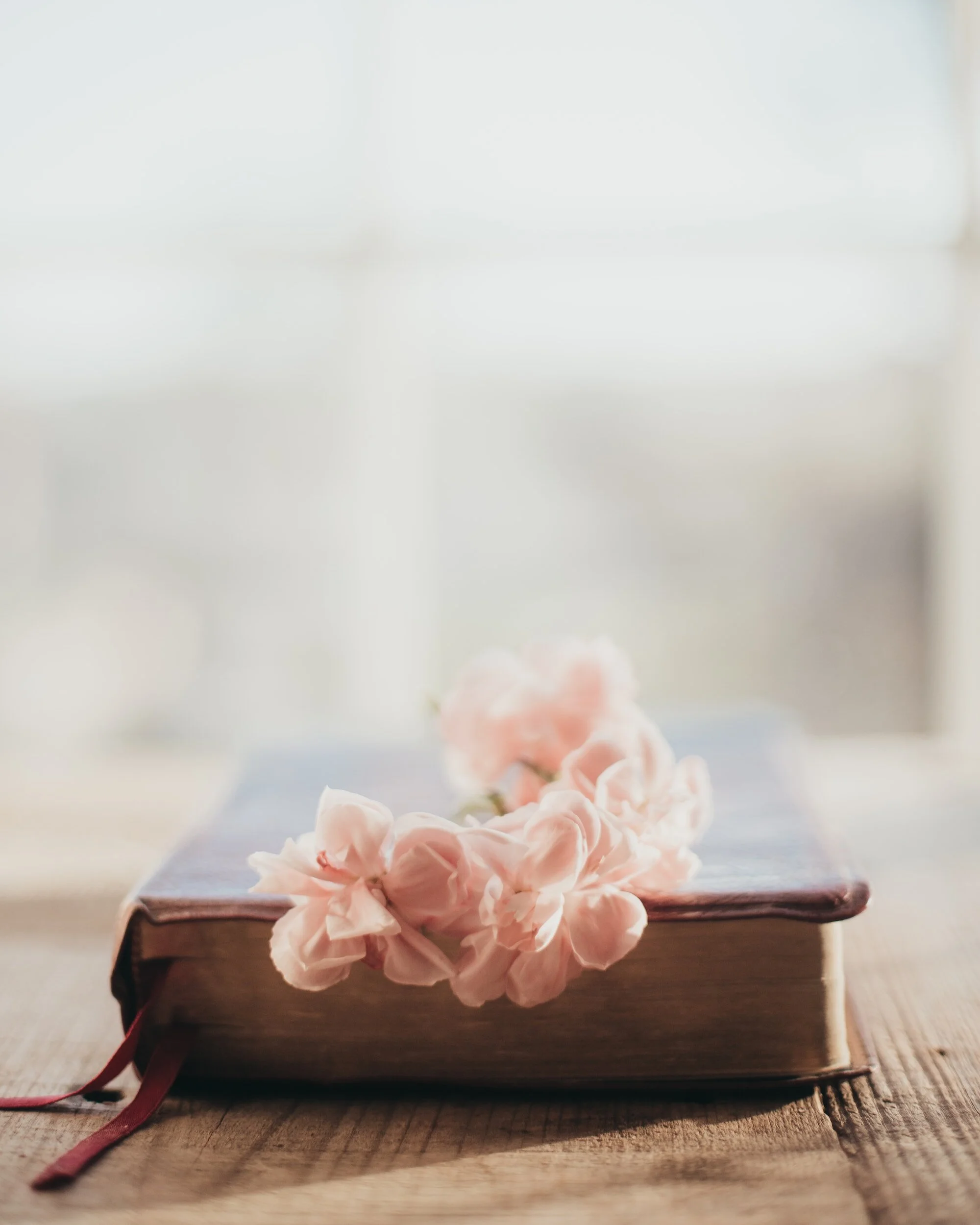An old hardcover book with pink flowers placed on top, sitting on a wooden surface near a window with natural light.