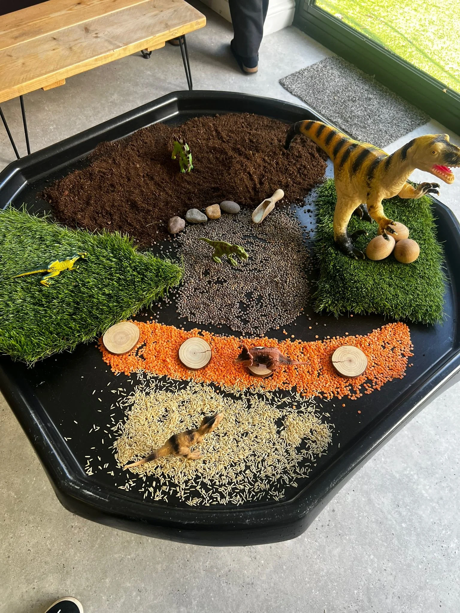 A miniature outdoor scene with toy dinosaurs, moss, rocks, wood chips, and grains arranged on a black tray, depicting a prehistoric landscape.