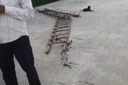 WhatsApp Image 2026-03-29 at 7.25.42 AM.jpg