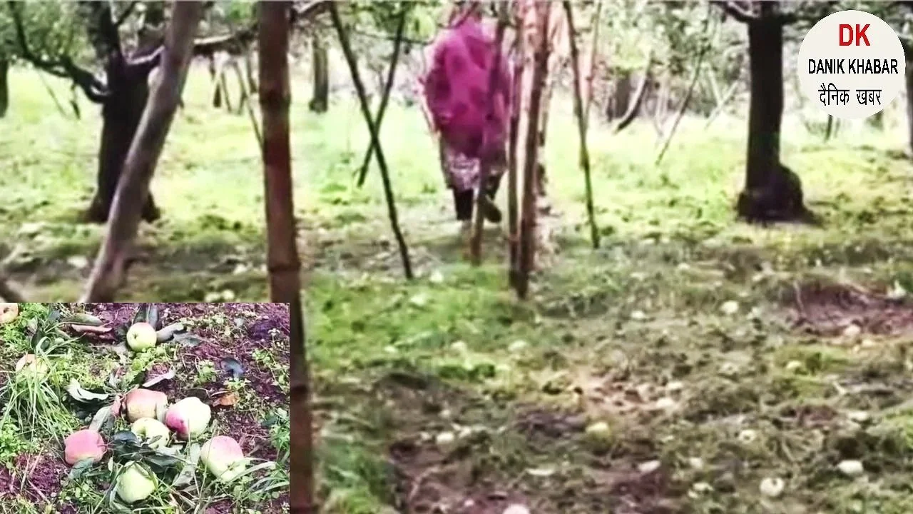 Related Video Item Thumbnail
