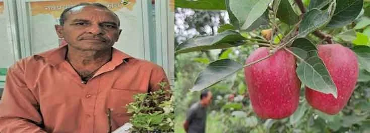 भारत के एप्पल मैन कहलाए जाने वाले हरिमन शर्मा को मिला पद्मश्री पुरस्कार 