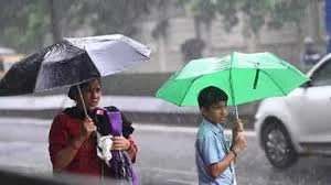 Haryana Weather: कई जिलो में हल्की बूंदाबांदी, शीत लहर चलने से तापमान में आई गिरावट