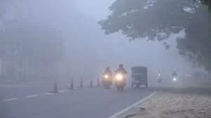 हरियाणा मौसम: कहीं कोहरा तो कहीं धूप, मौसम में आए बदलाव से किसानों को राहत