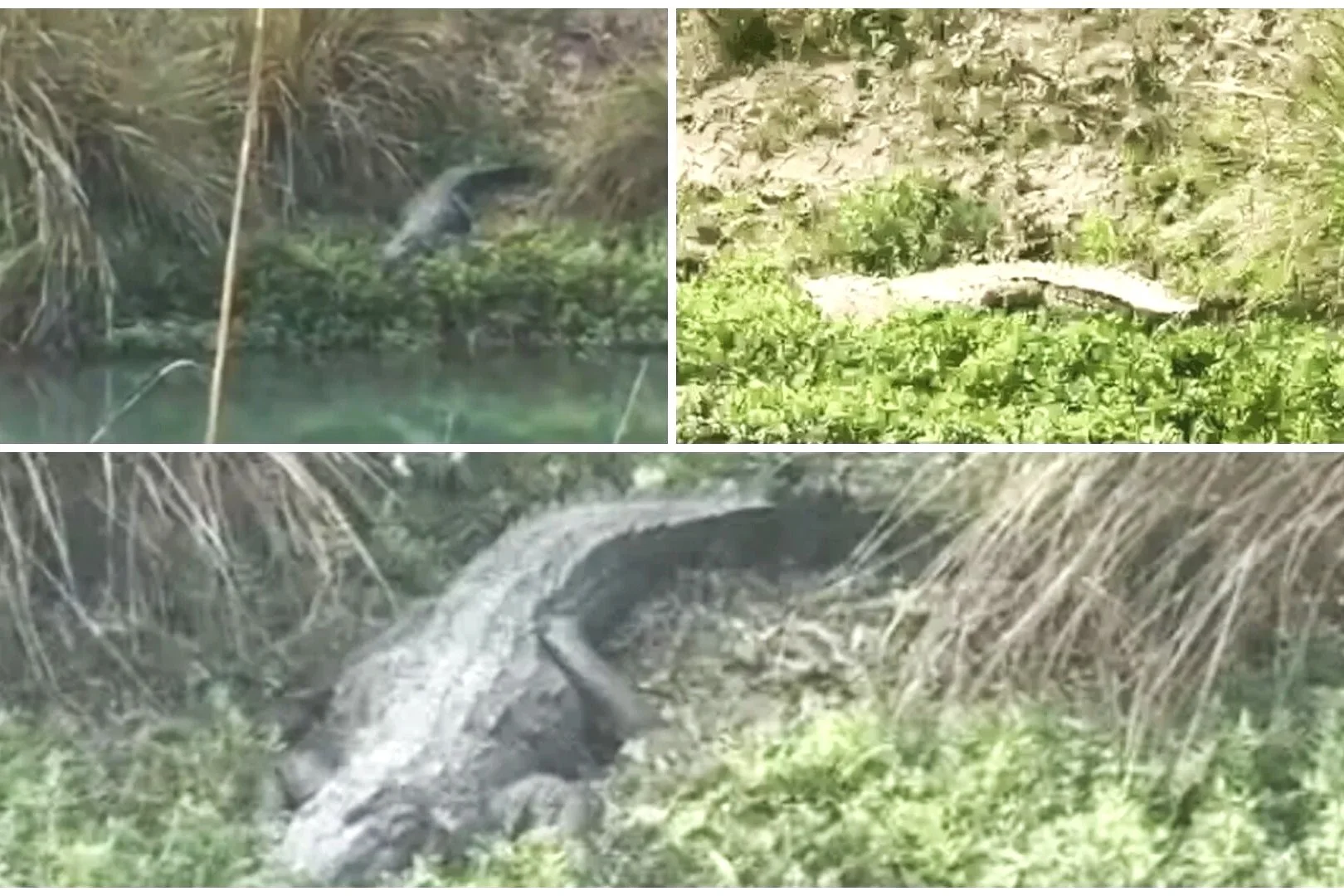 photo-collage.png (32).jpg