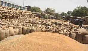 download - 2026-04-14T091701.994.jpg